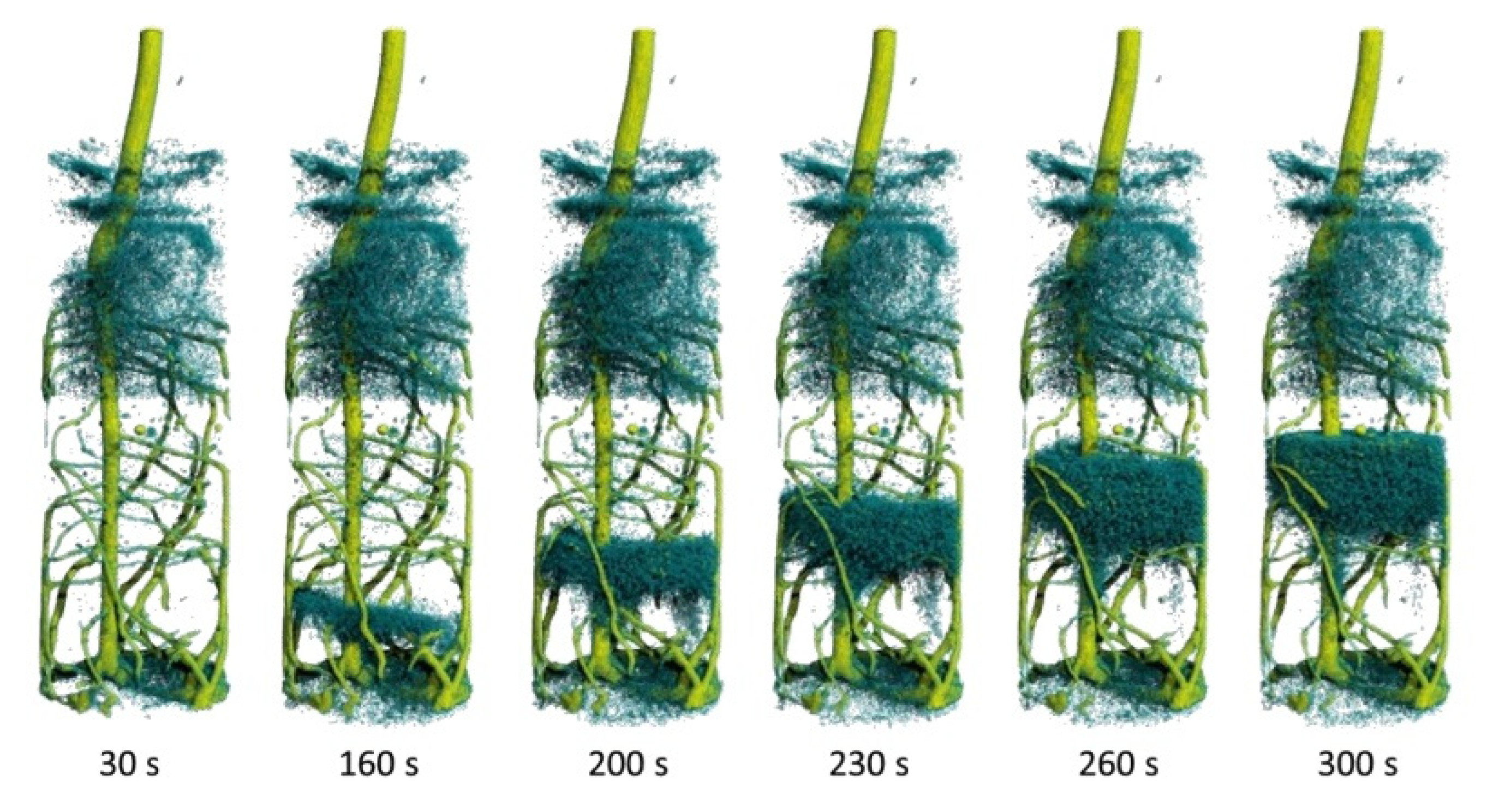 Jimaging 07 00011 g003