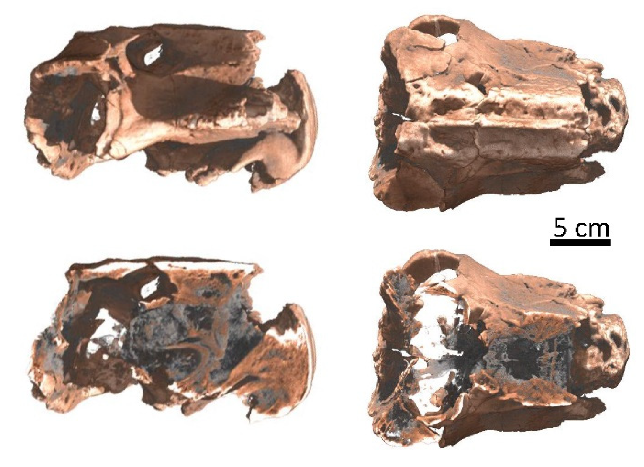 Jimaging 07 00011 g004