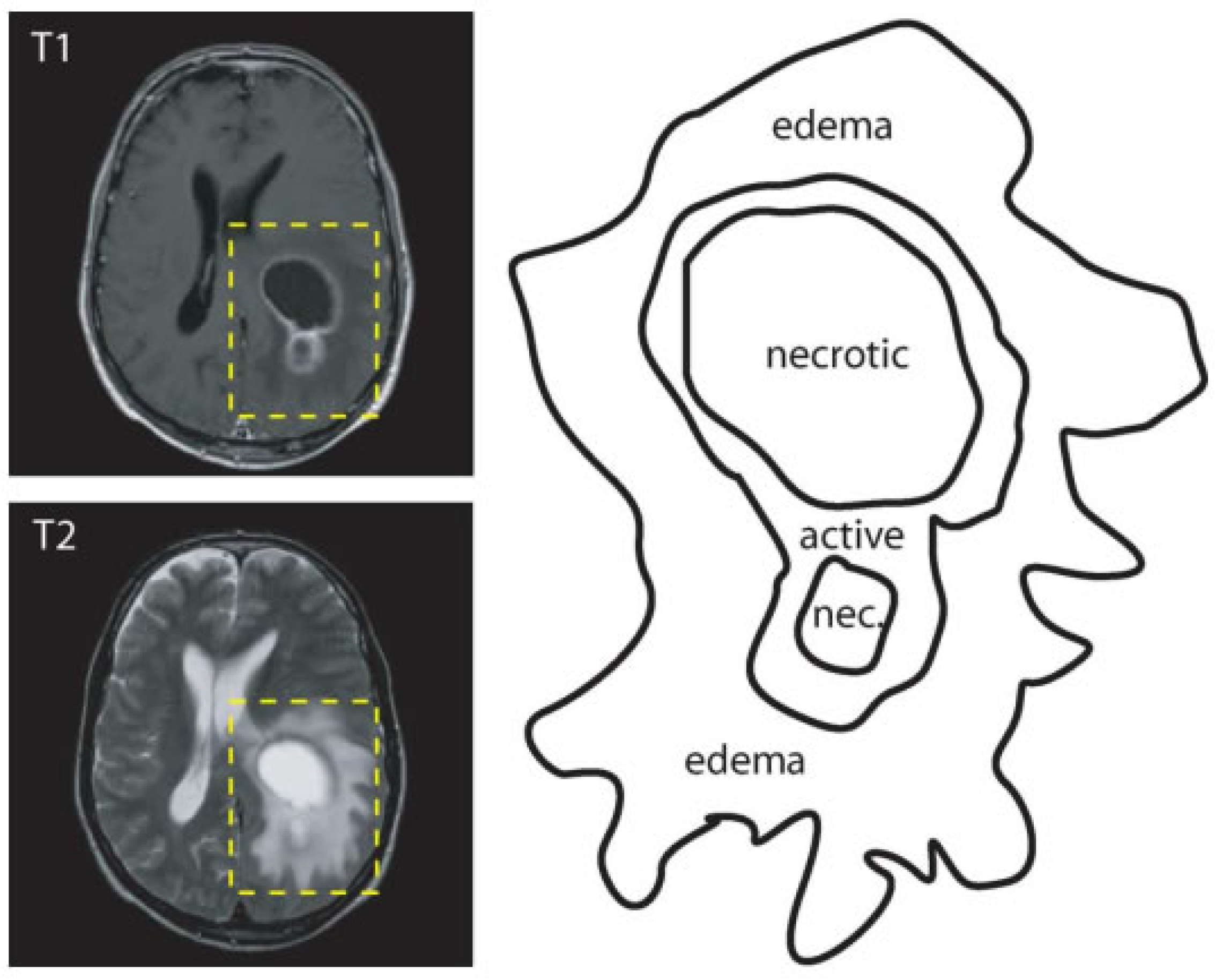 Jimaging 07 00019 g001