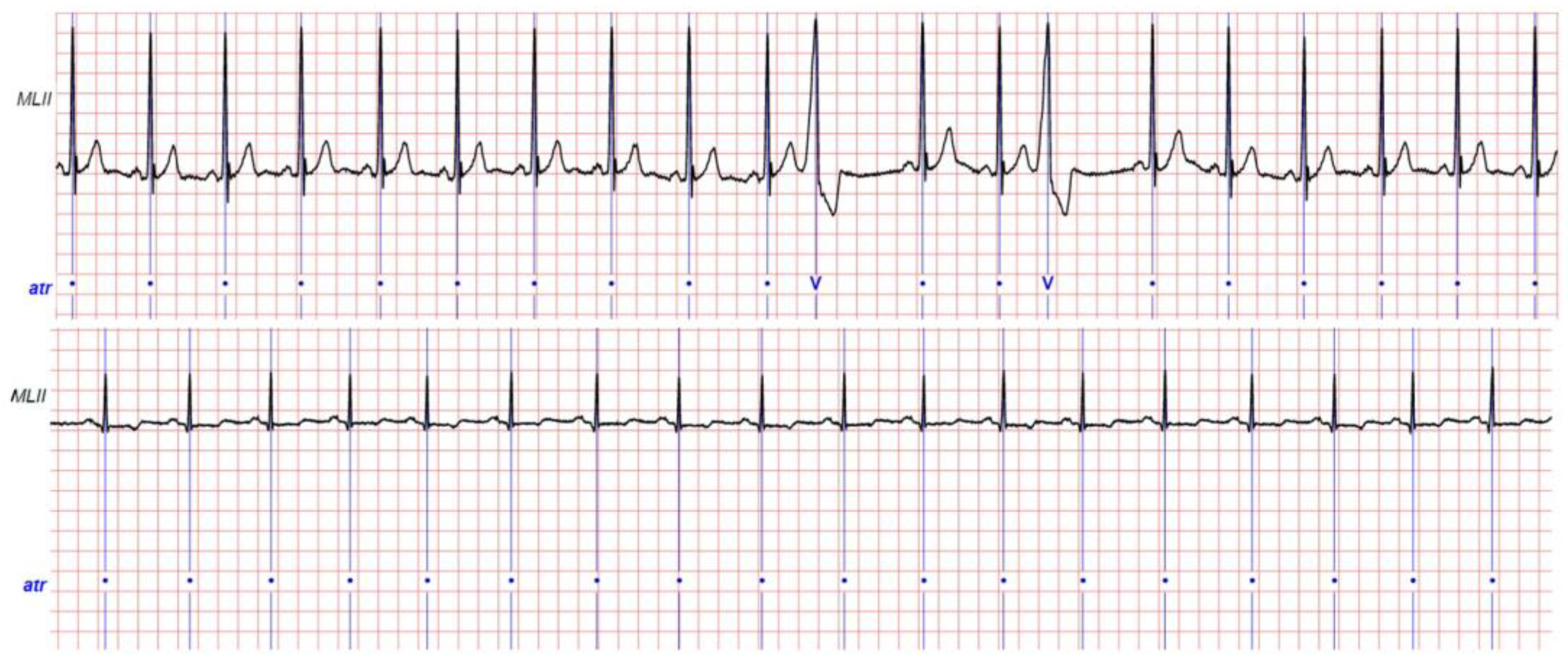 Jimaging 07 00026 g002