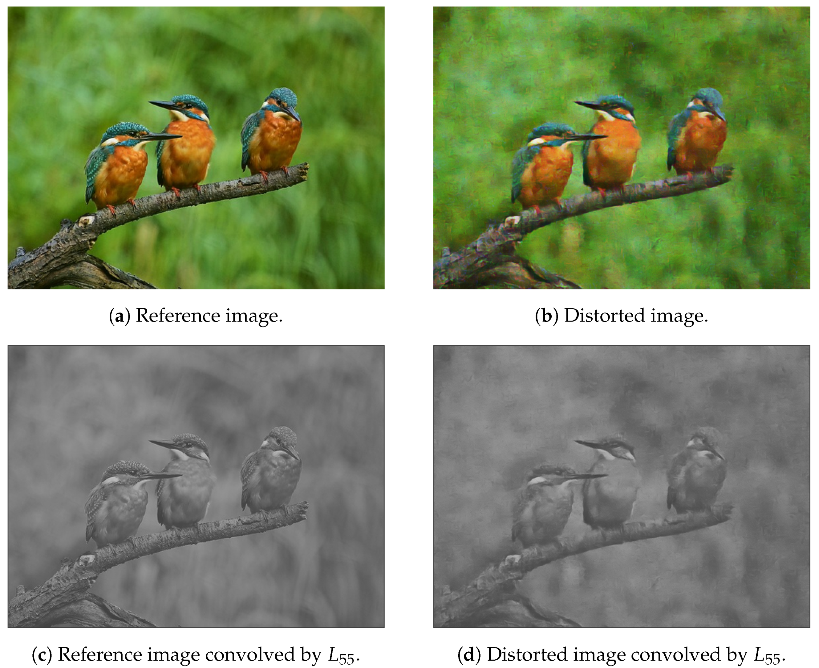 Jimaging 07 00029 g003a