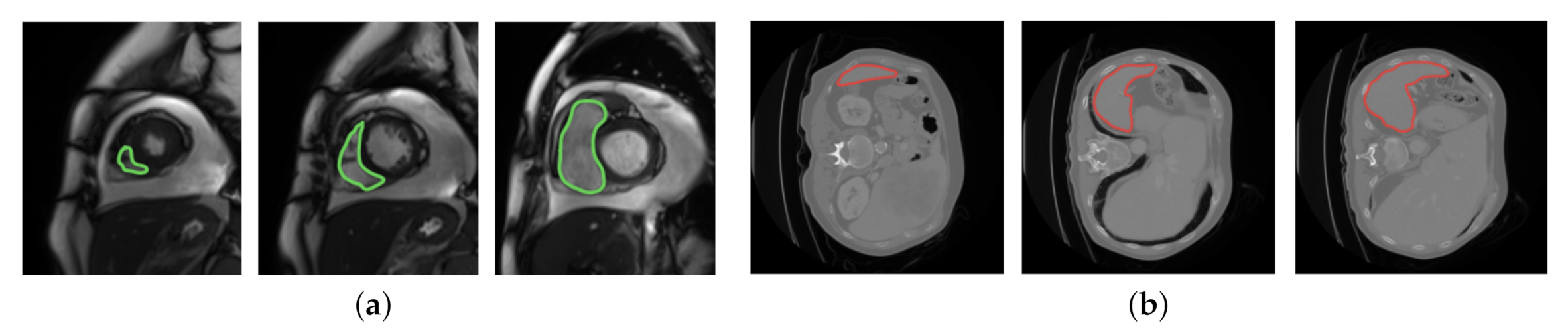 Jimaging 07 00031 g001