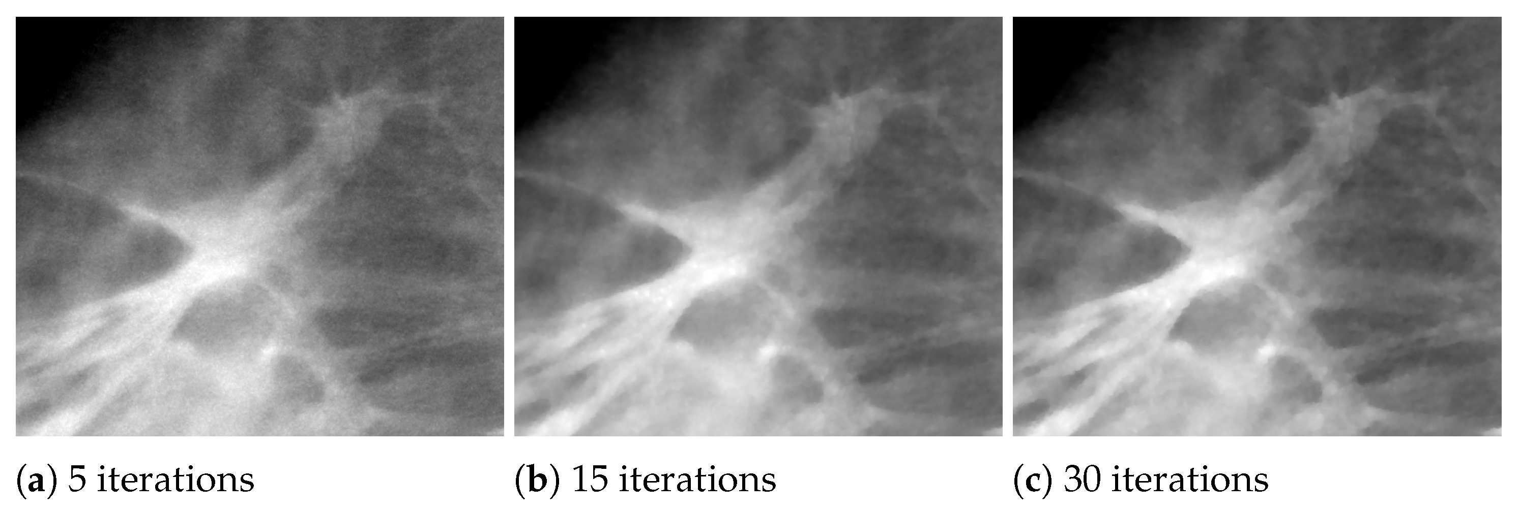 Jimaging 07 00036 g009