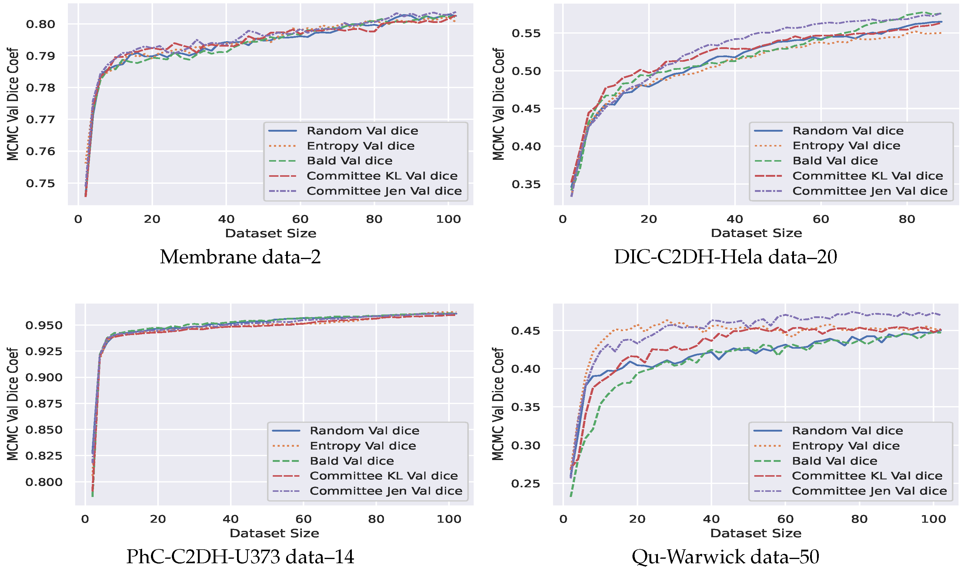 Jimaging 07 00037 g005