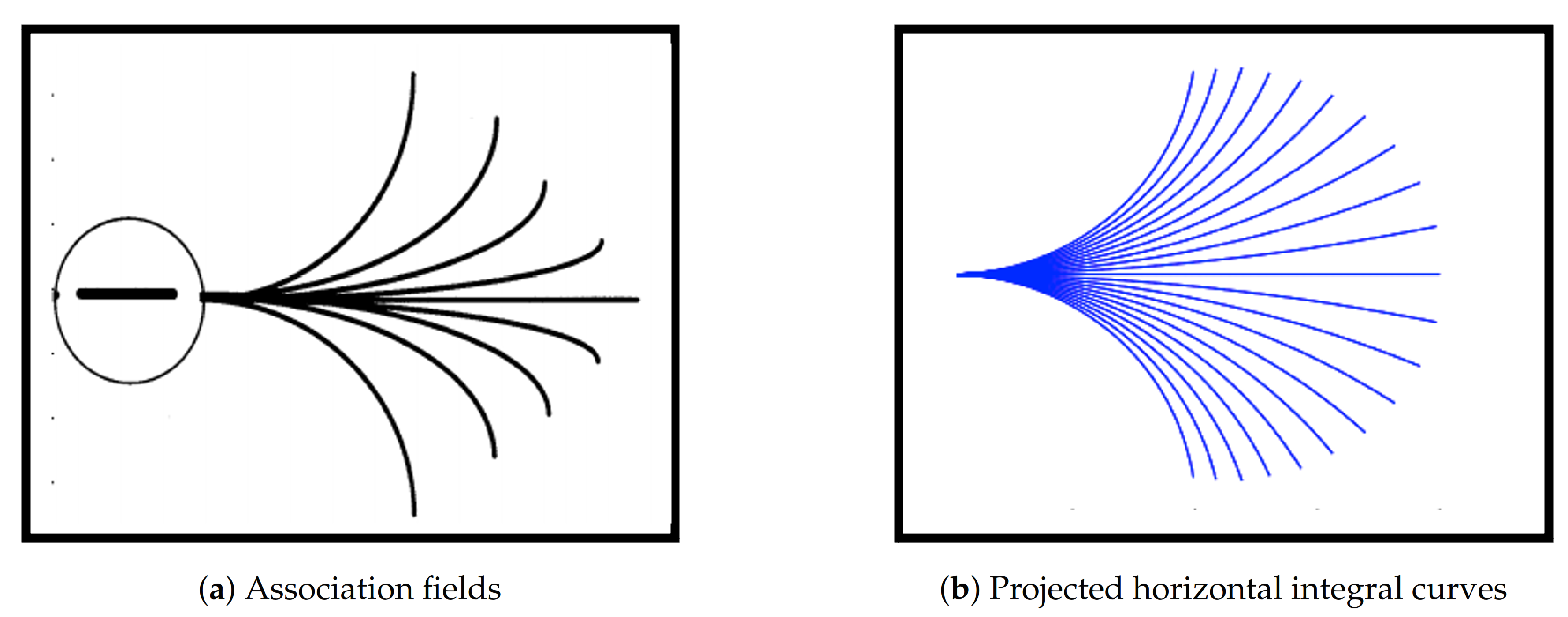 Jimaging 07 00041 g001 Jimaging 07 00041 g001
