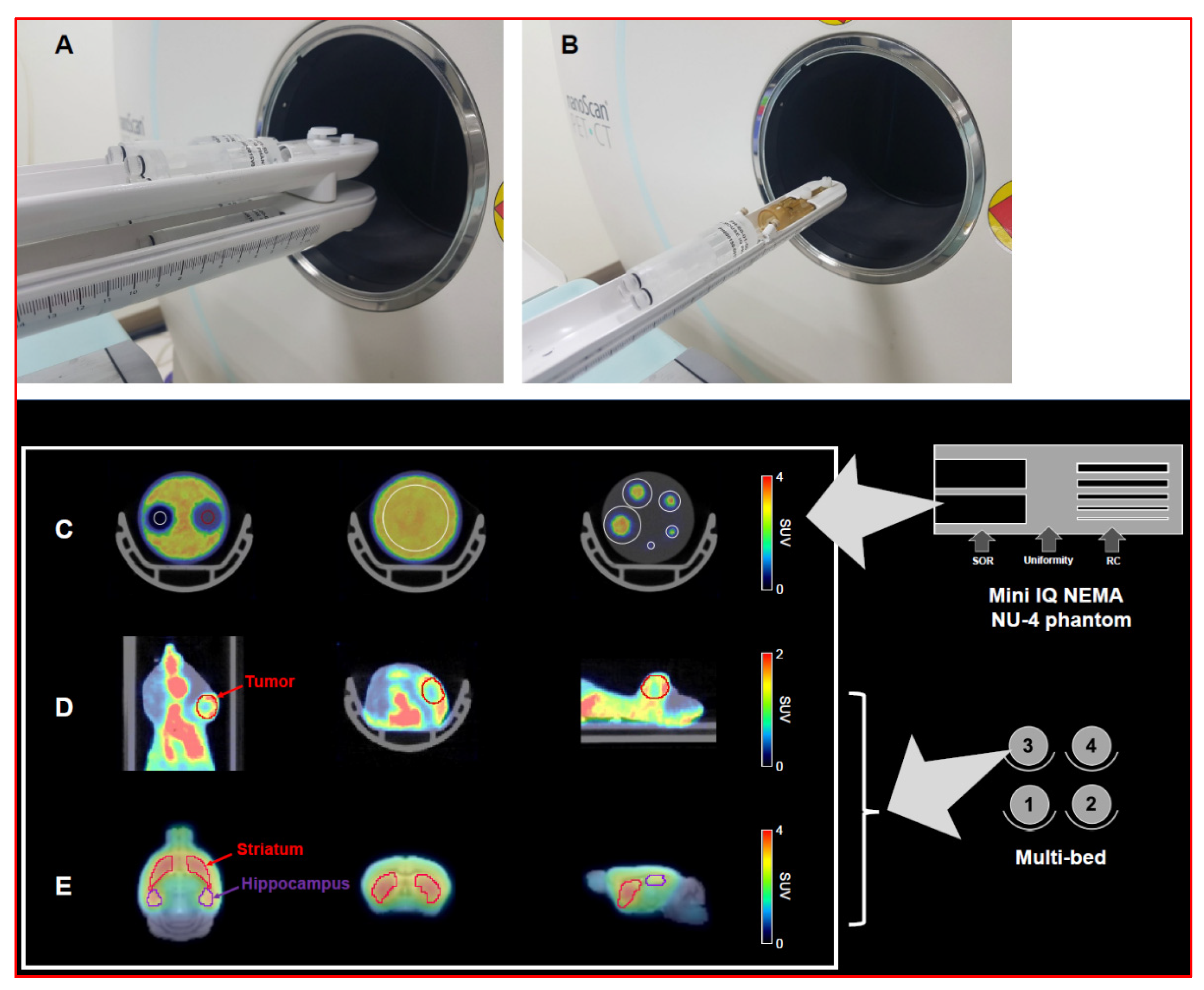 Jimaging 07 00043 g001 Jimaging 07 00043 g001