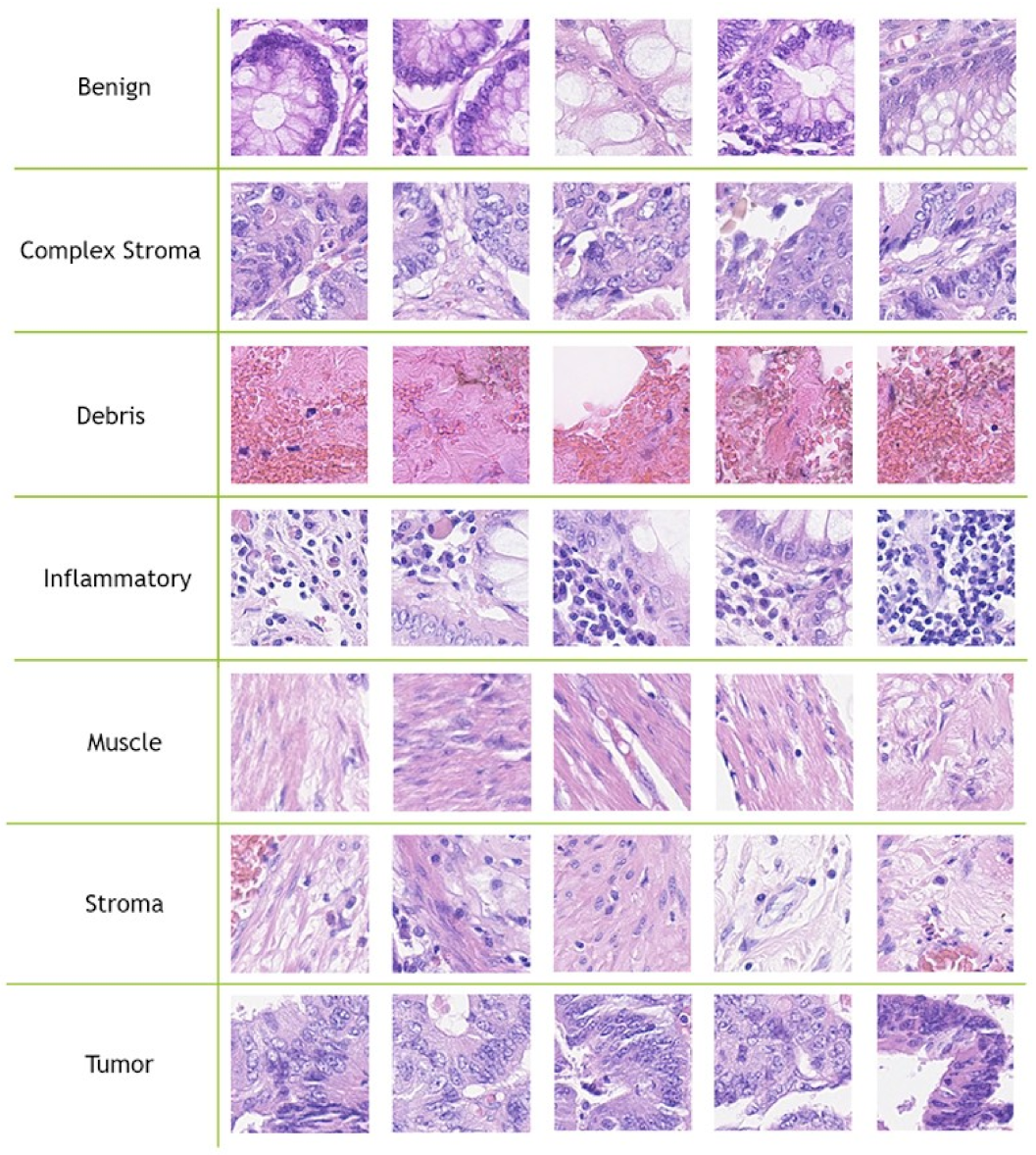 Jimaging 07 00051 g002