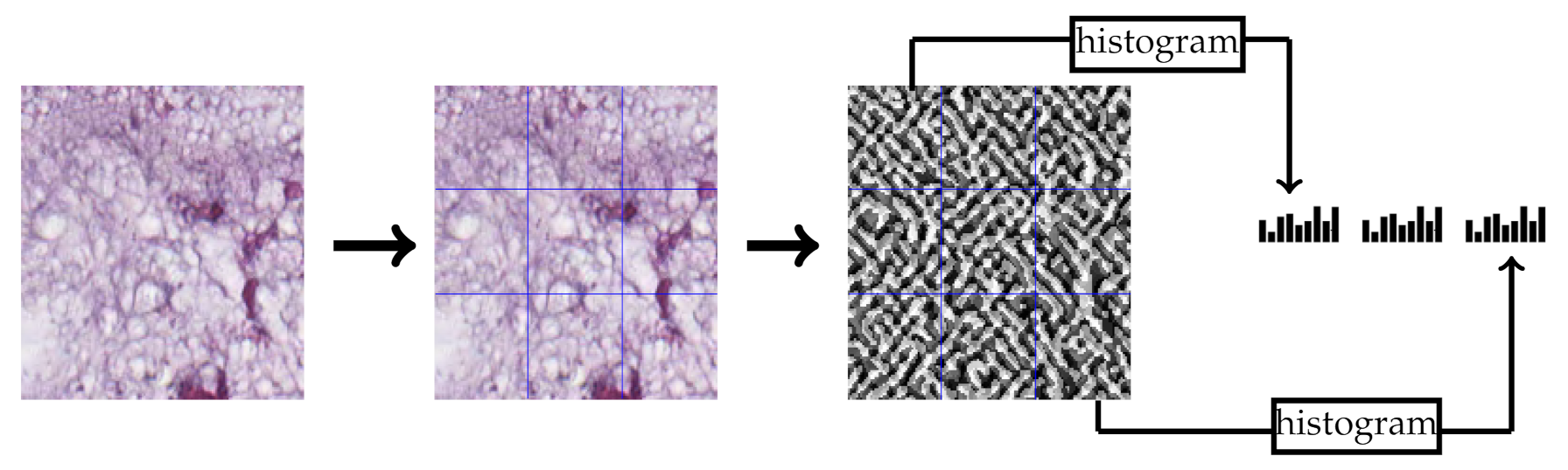 Jimaging 07 00051 g003