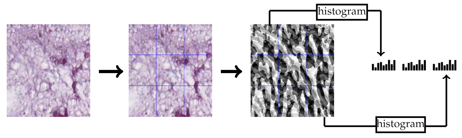 Jimaging 07 00051 g004