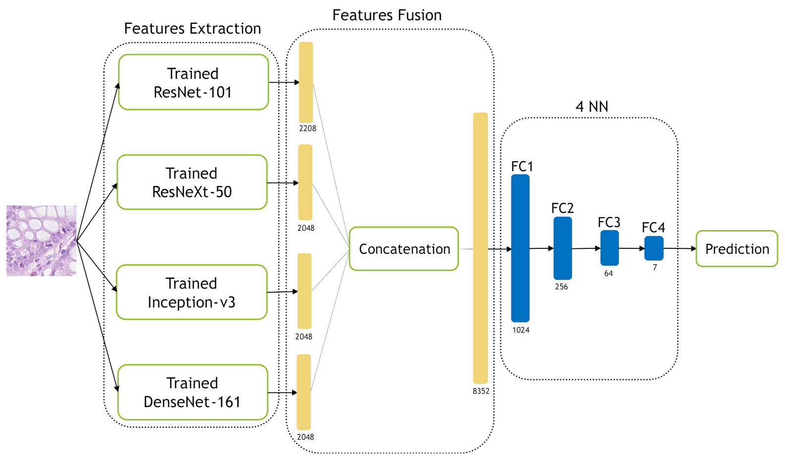 Jimaging 07 00051 g013