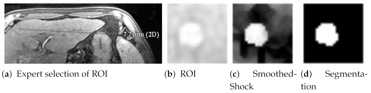 Jimaging 07 00056 g010