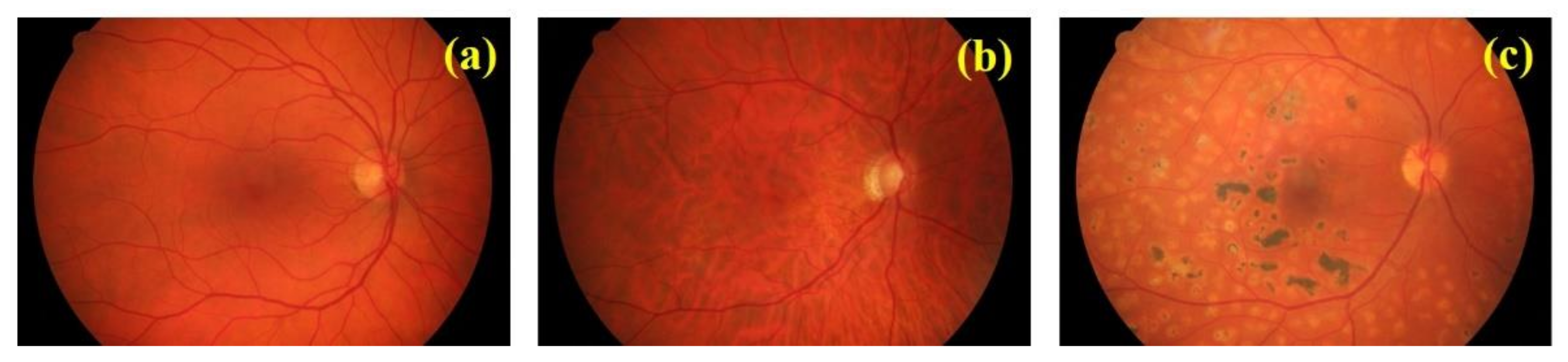 Jimaging 07 00073 g001