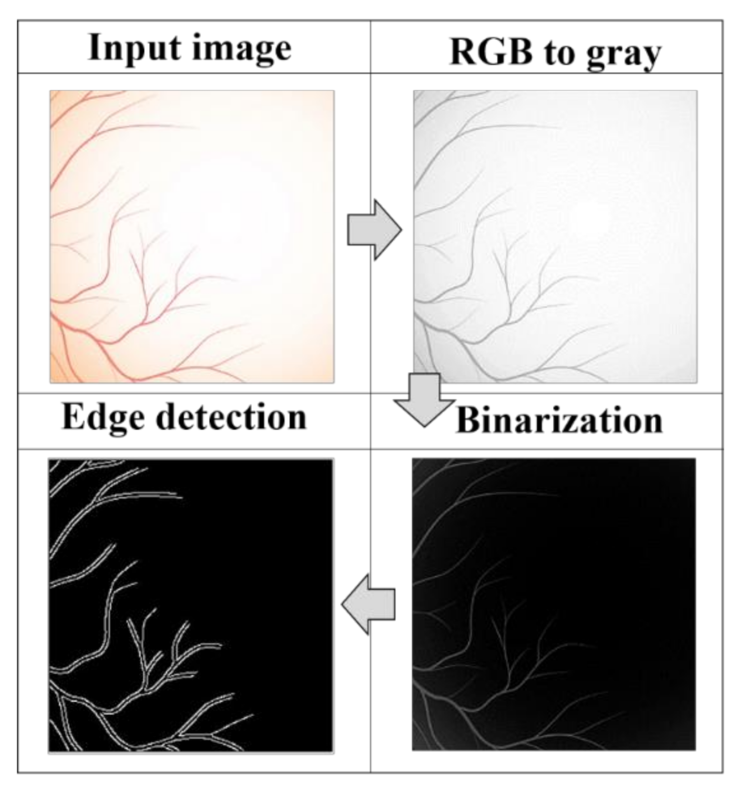 Jimaging 07 00073 g003