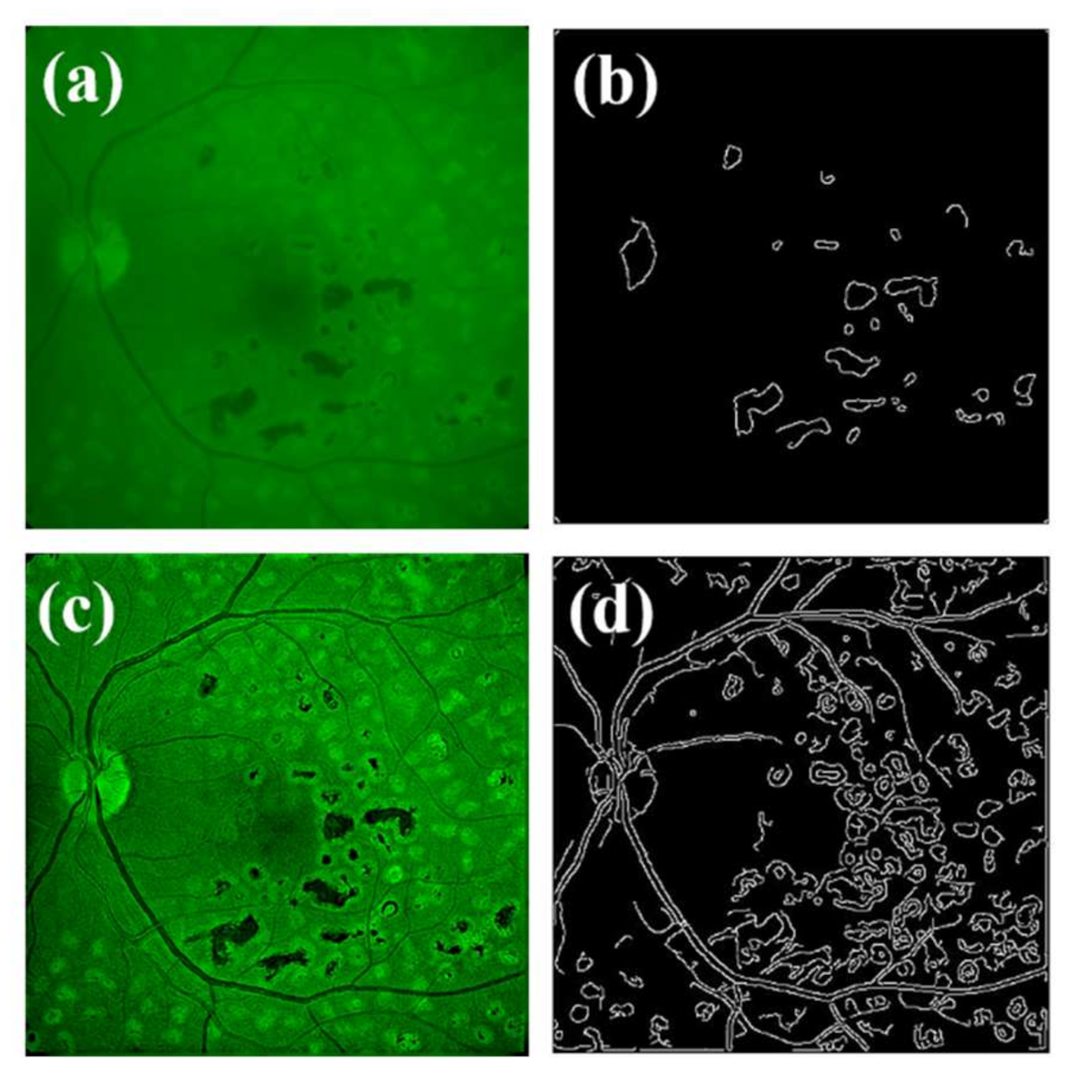 Jimaging 07 00073 g012