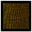 Jimaging 07 00085 i007