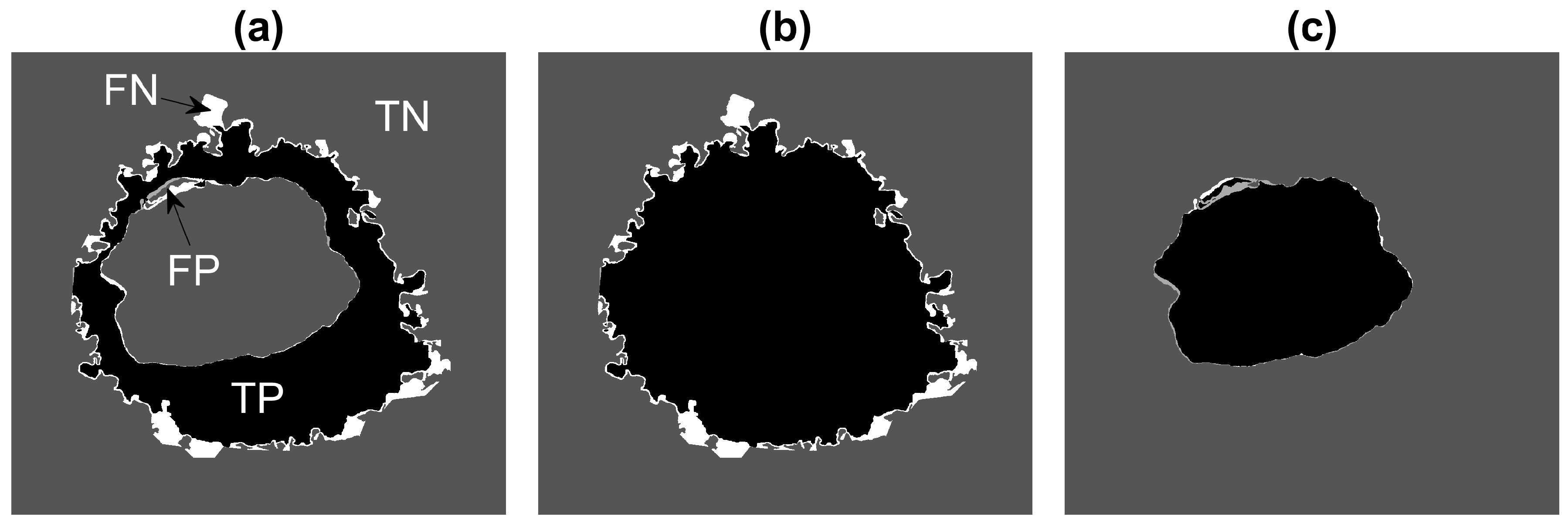 Jimaging 07 00093 g005