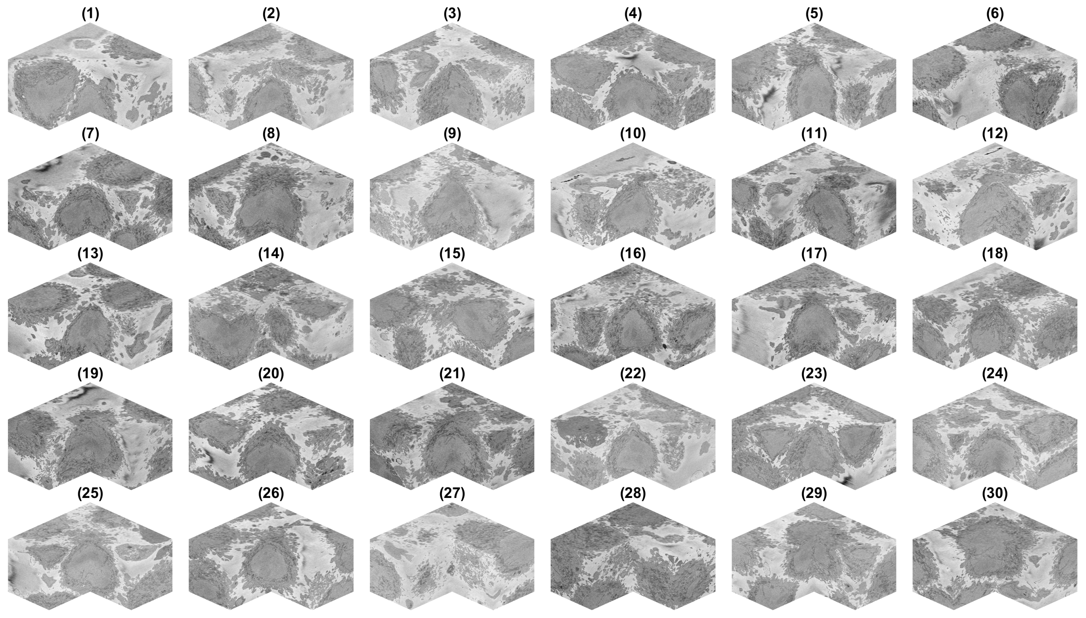 Jimaging 07 00093 g006