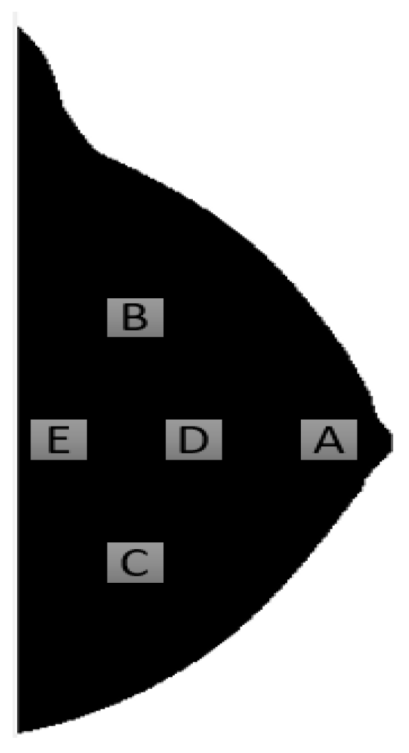 Jimaging 07 00098 g002