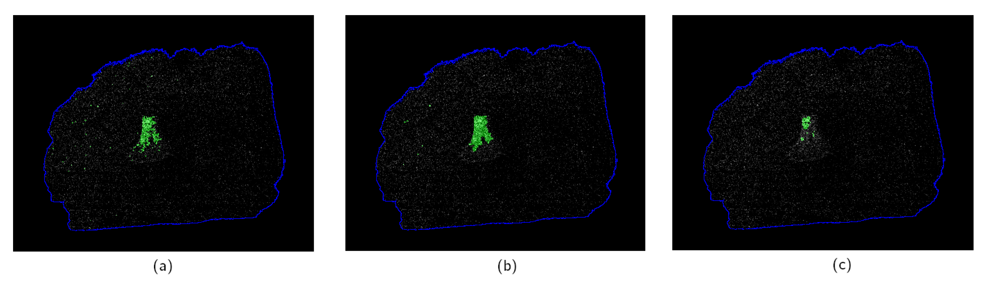 Jimaging 07 00104 g006