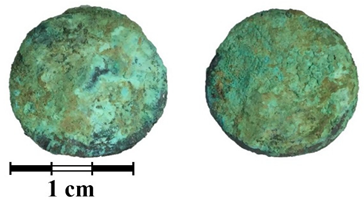 Jimaging 07 00129 i002