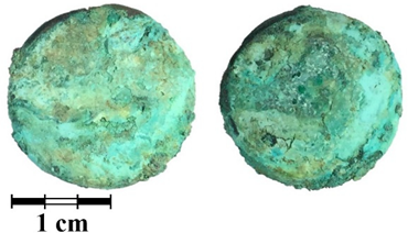 Jimaging 07 00129 i003