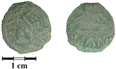 Jimaging 07 00129 i008