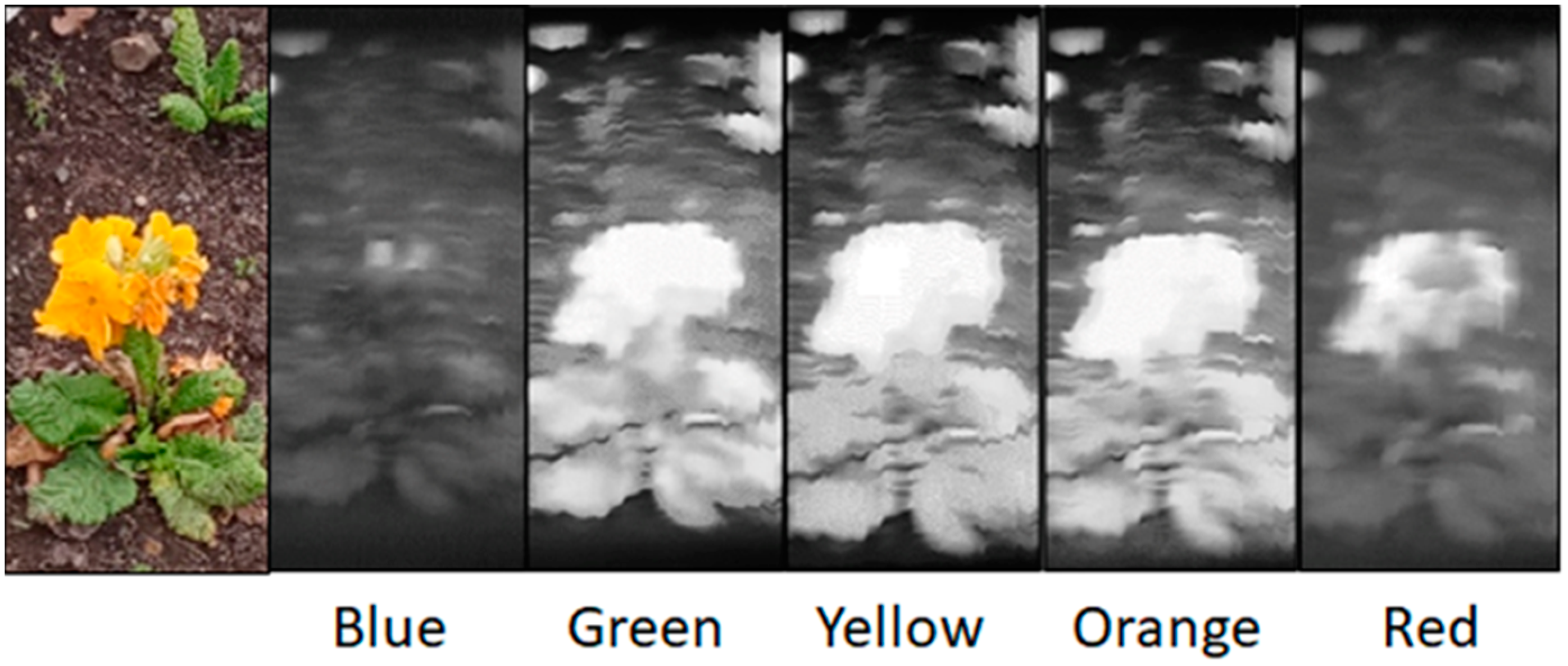 Jimaging 07 00136 g011