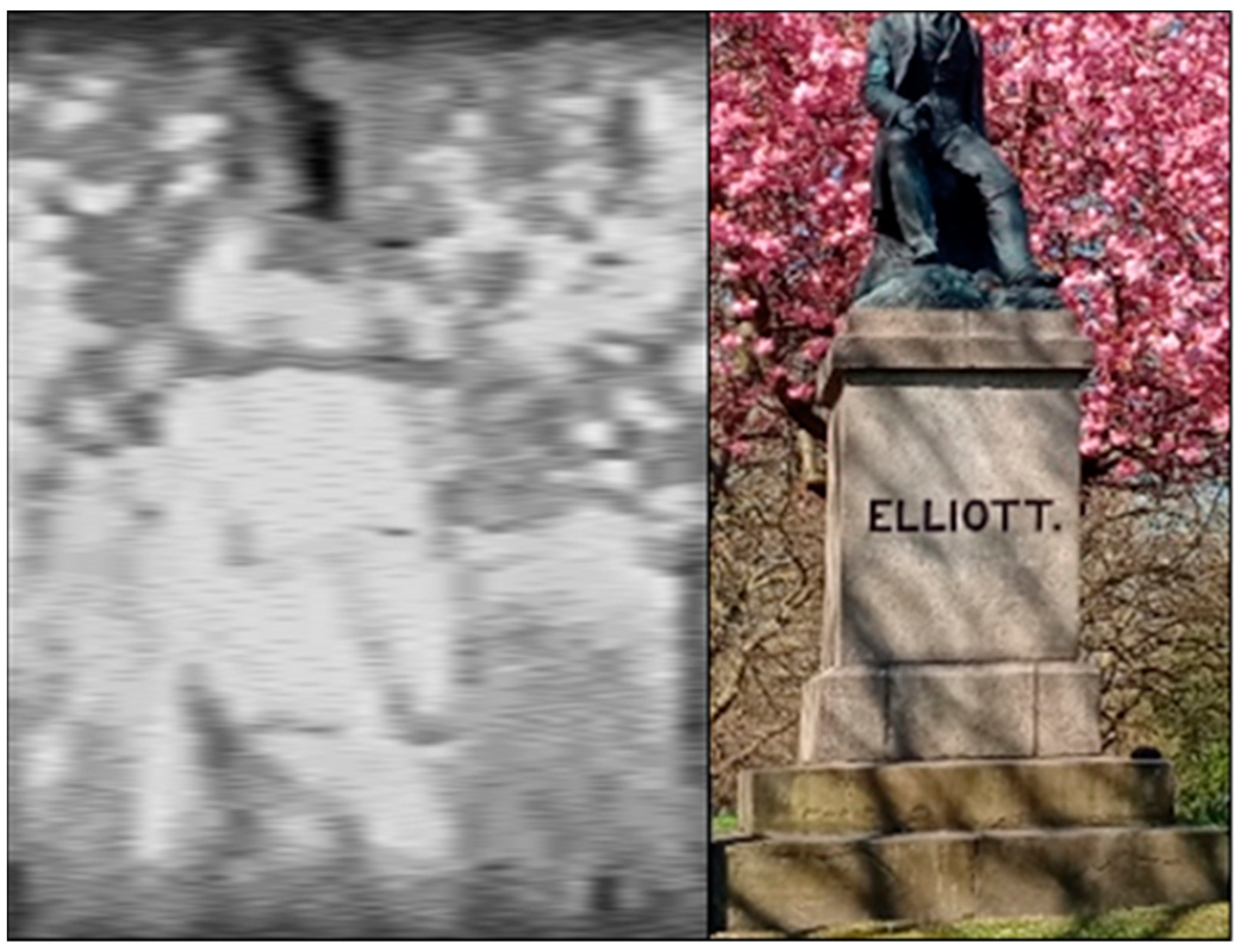 Jimaging 07 00136 g012