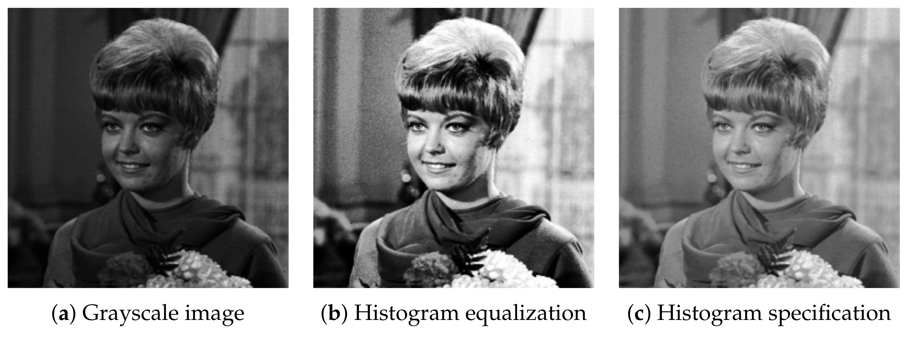 Jimaging 07 00150 g003