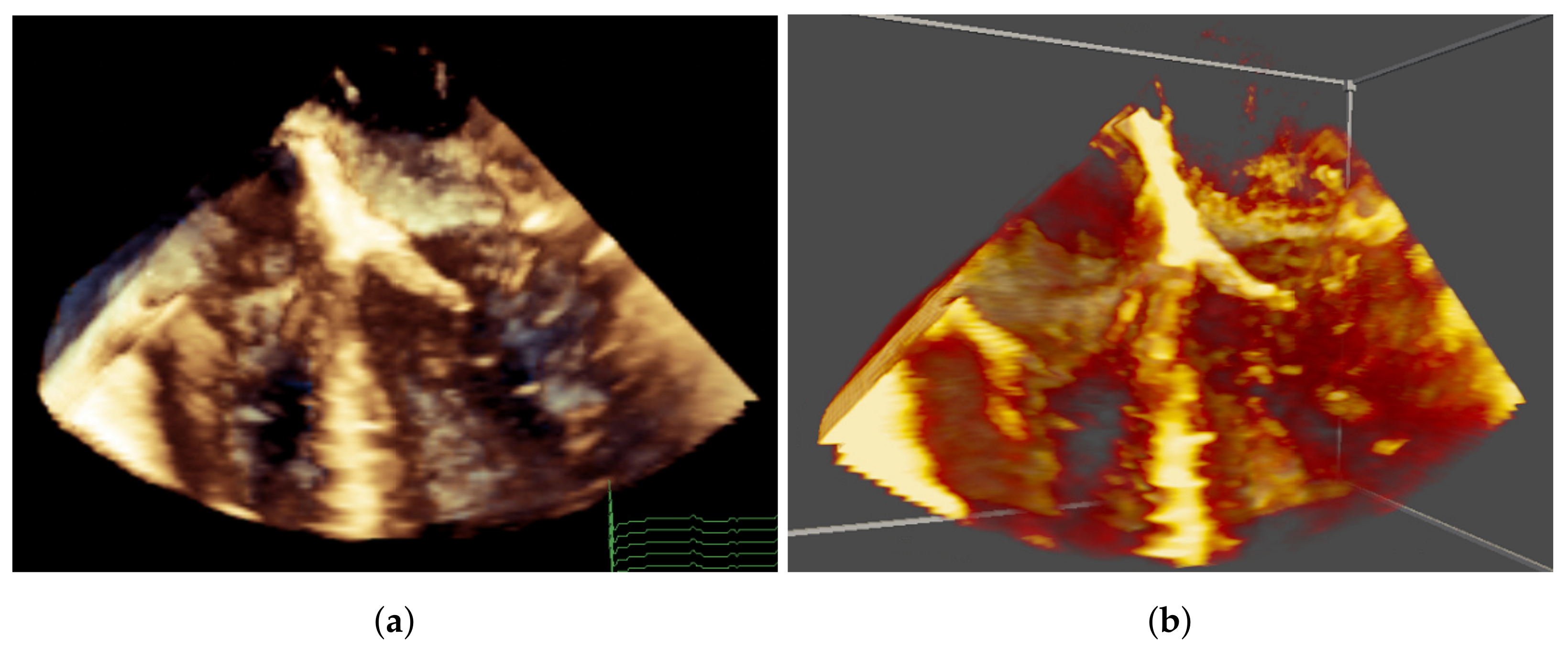 Jimaging 07 00151 g005