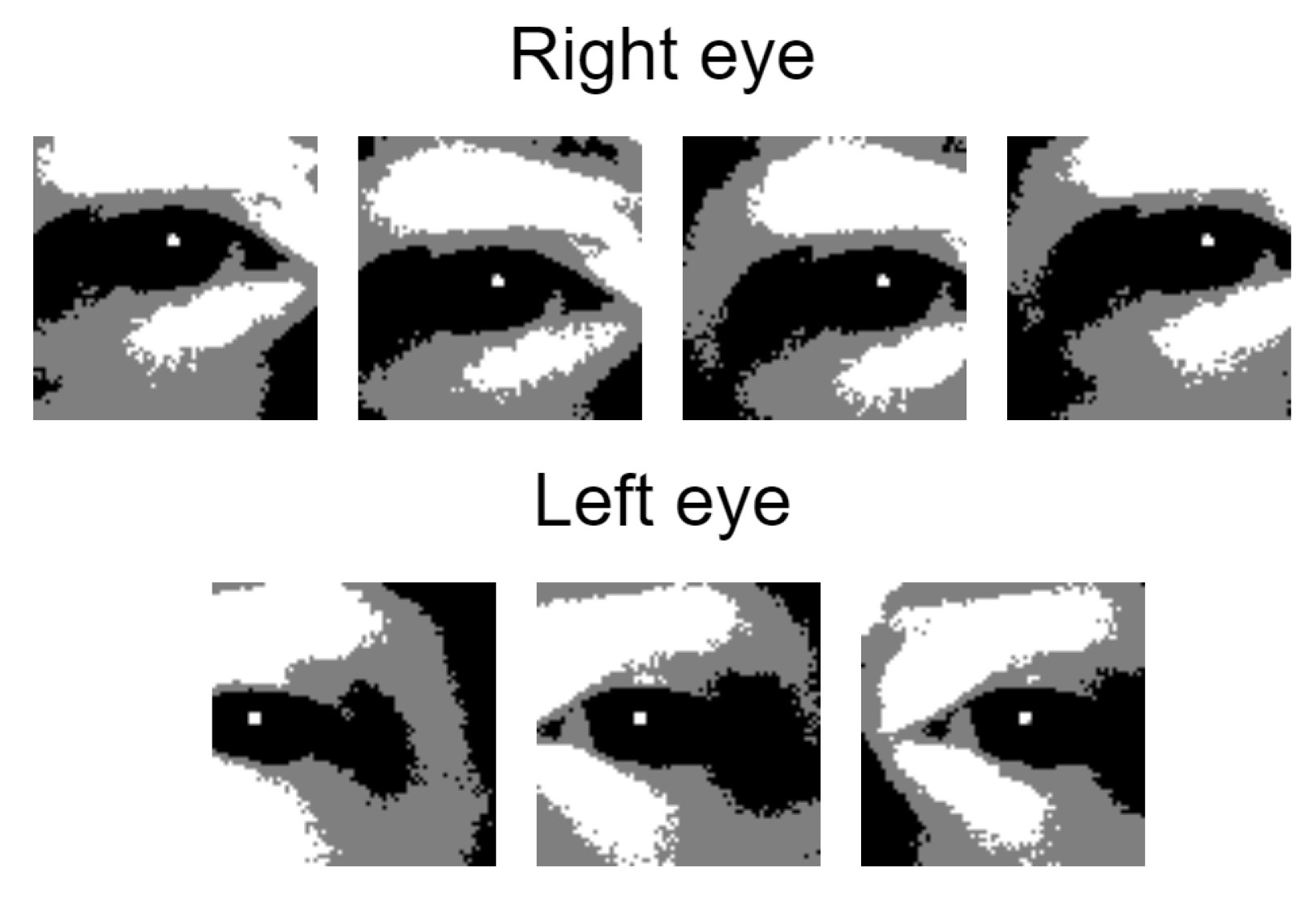 Jimaging 07 00162 g007