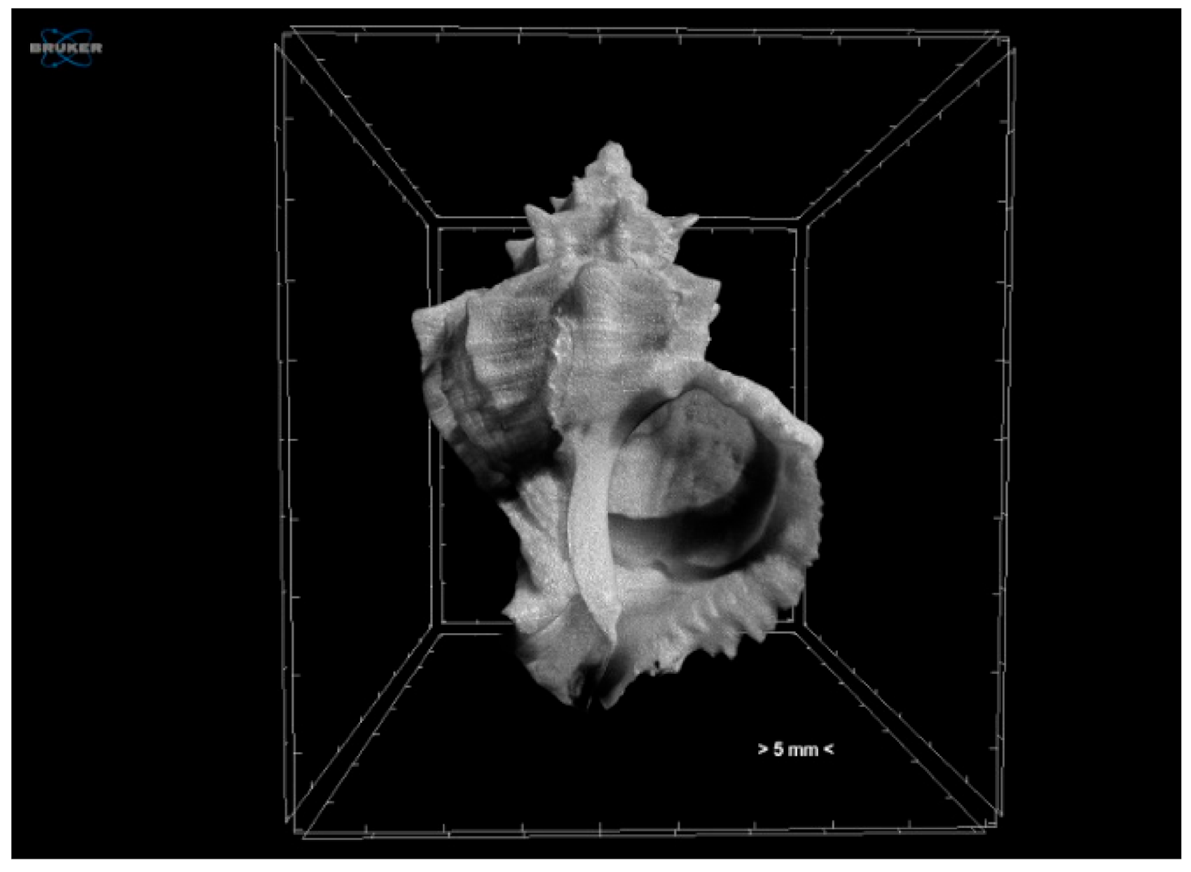 Jimaging 07 00172 g002