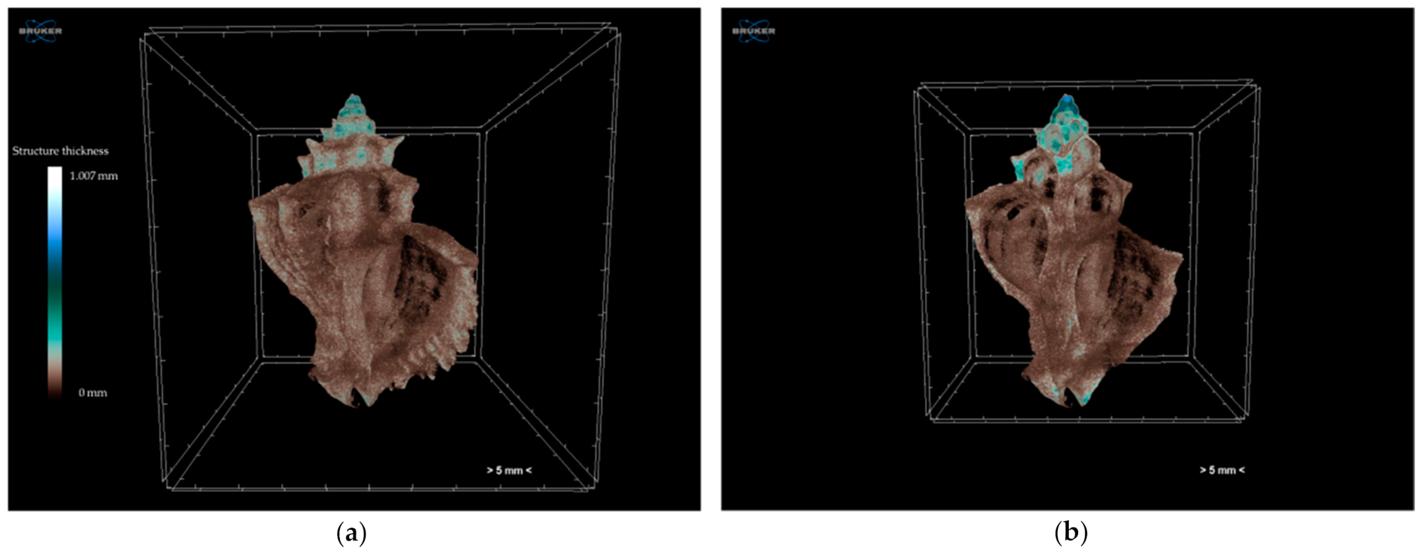 Jimaging 07 00172 g004