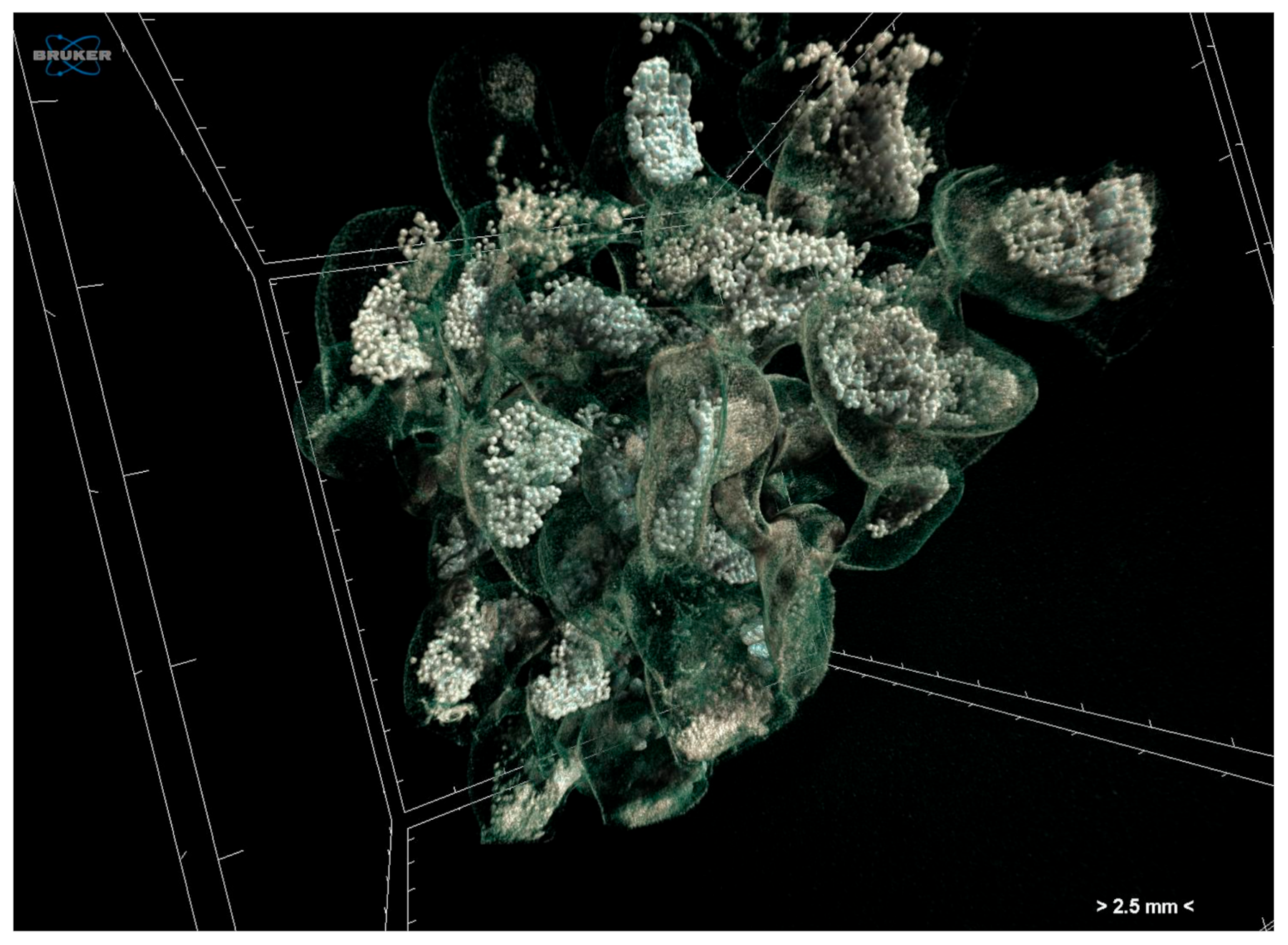 Jimaging 07 00172 g005