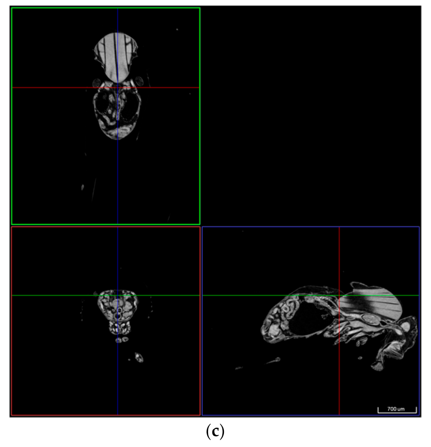 Jimaging 07 00172 g012b