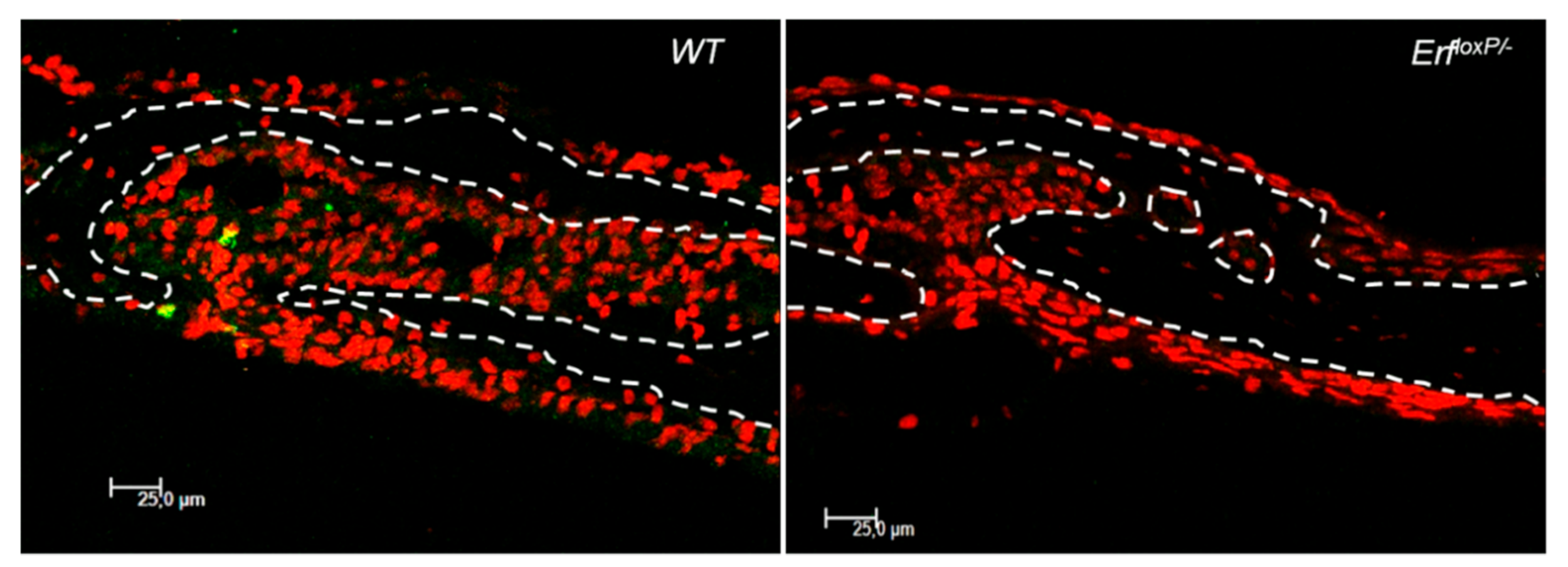 Jimaging 07 00172 g016