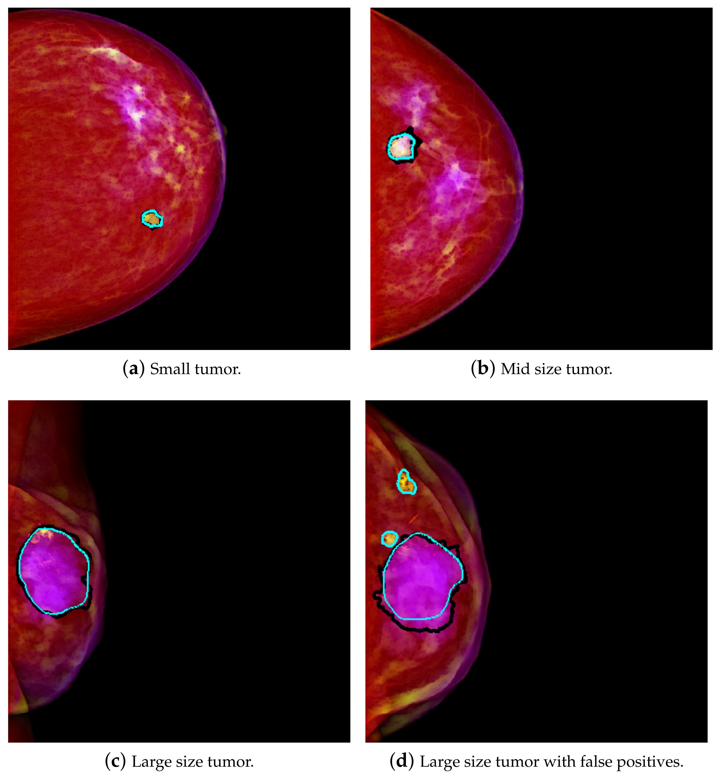 Jimaging 07 00174 g001