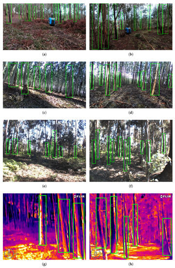 Jimaging 07 00176 g0a1