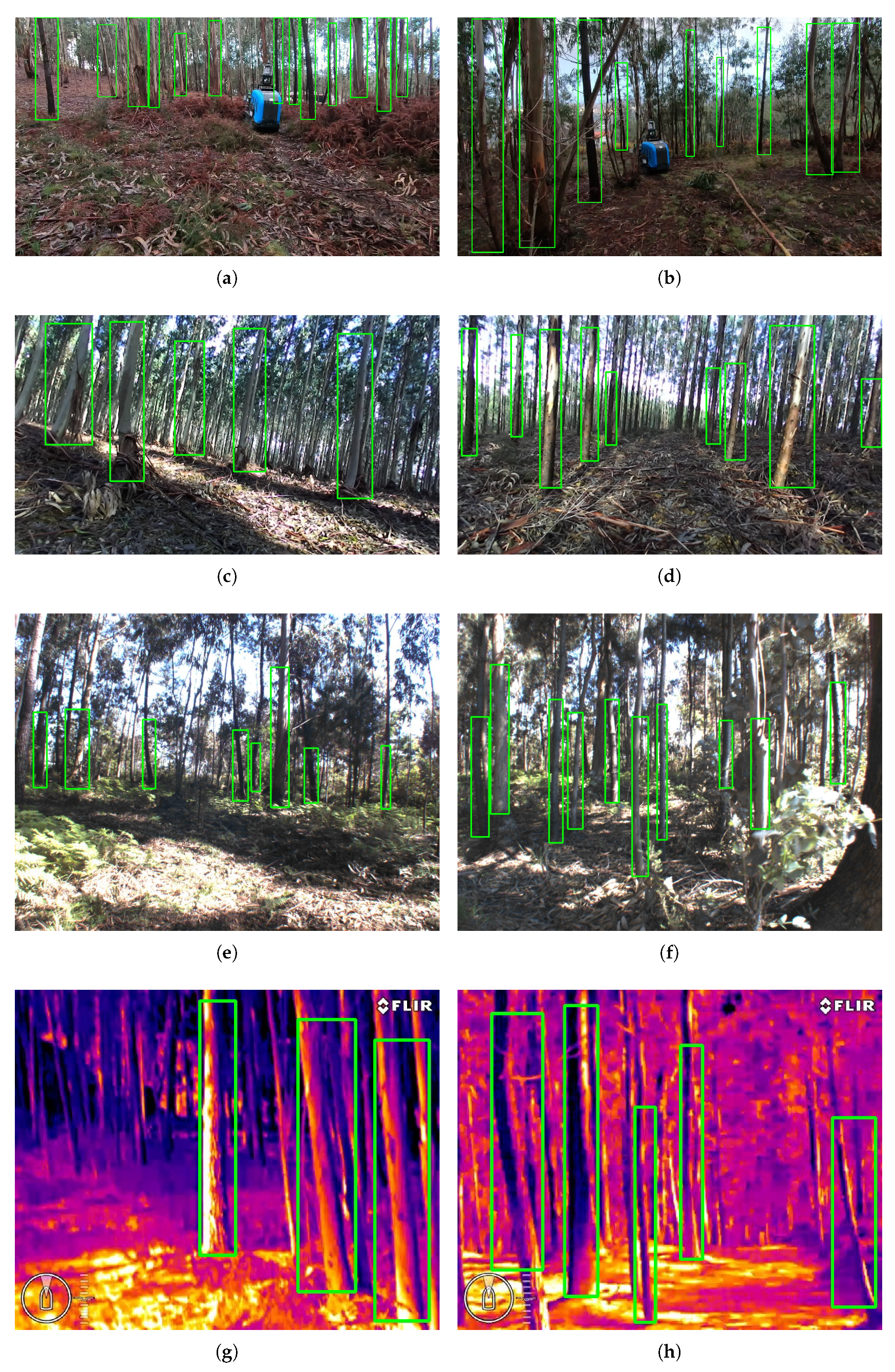 Jimaging 07 00176 g0a1