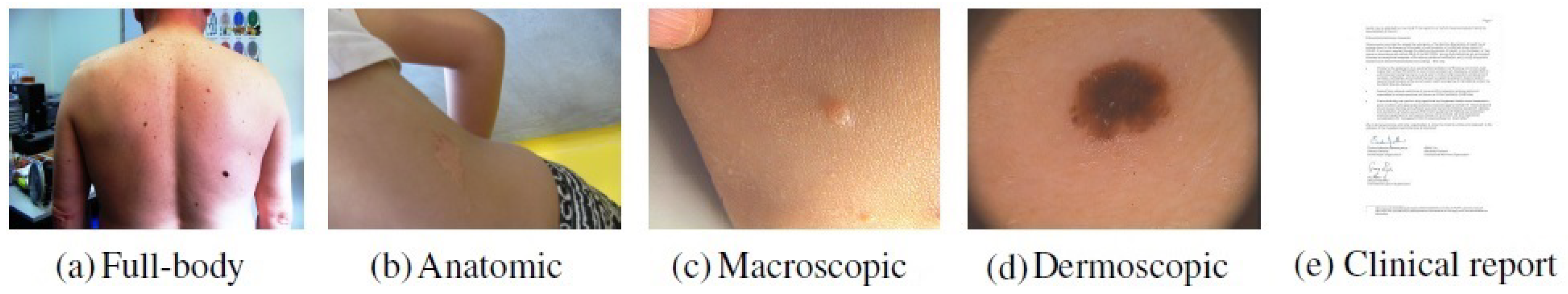 Jimaging 07 00180 g001