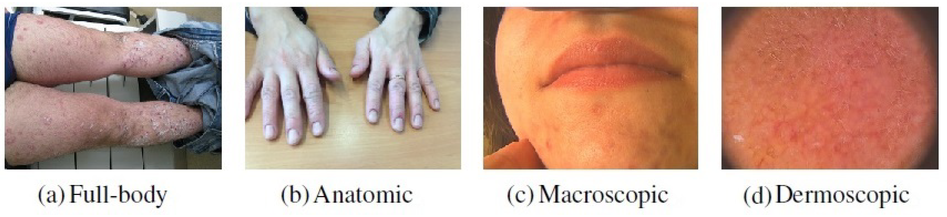 Jimaging 07 00180 g002