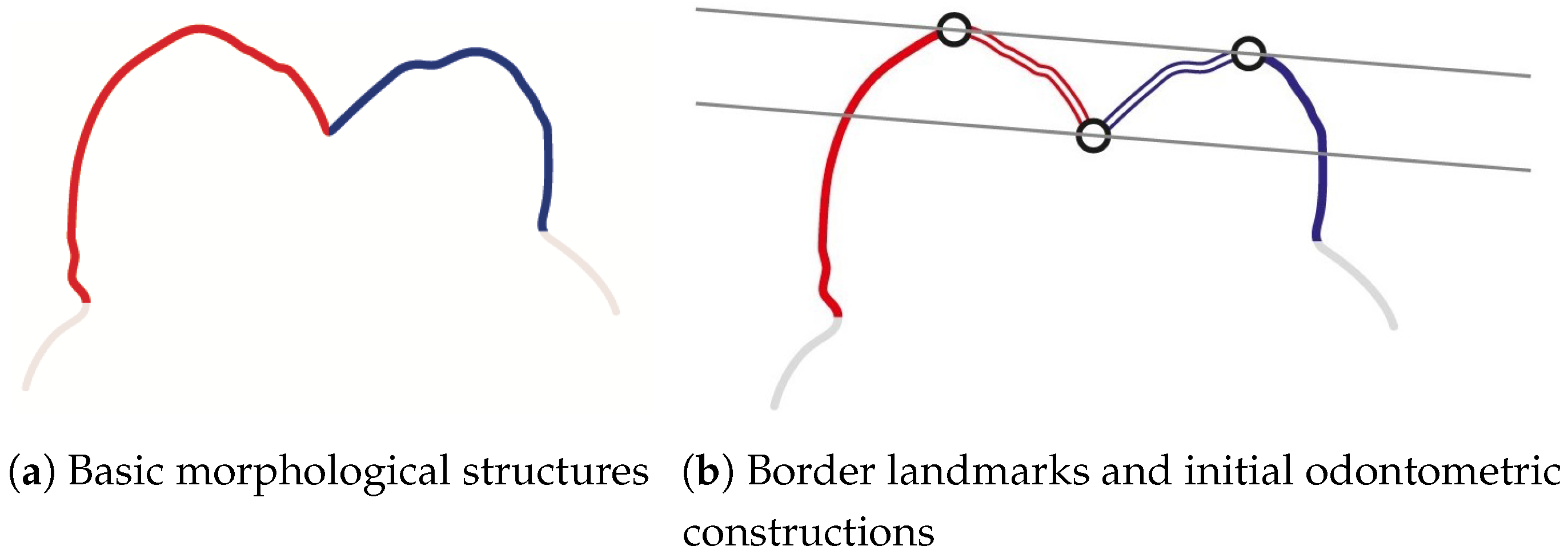 Jimaging 07 00184 g001 Jimaging 07 00184 g001