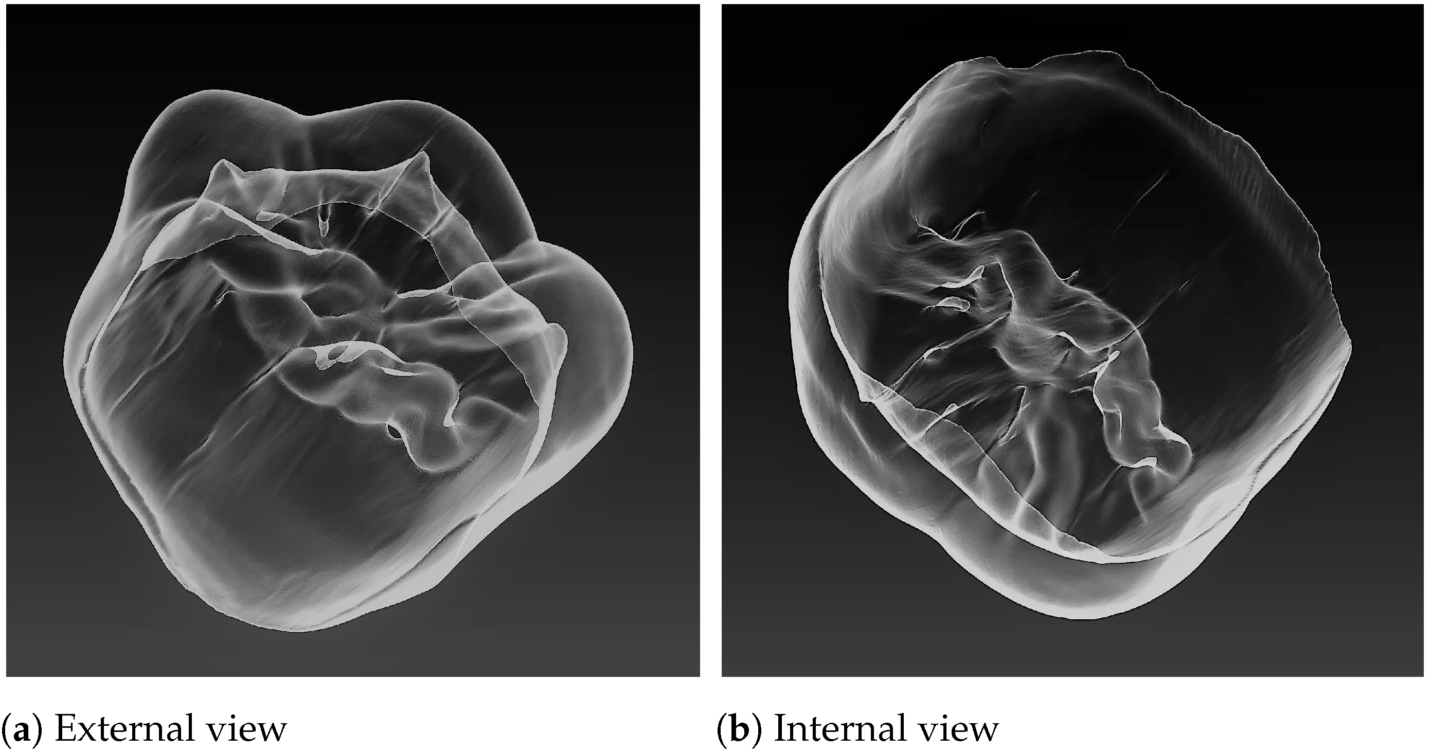 Jimaging 07 00184 g002 Jimaging 07 00184 g002