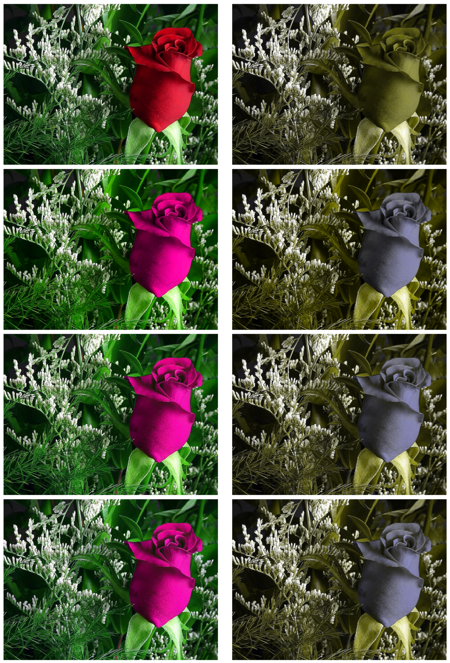 Jimaging 07 00196 g005