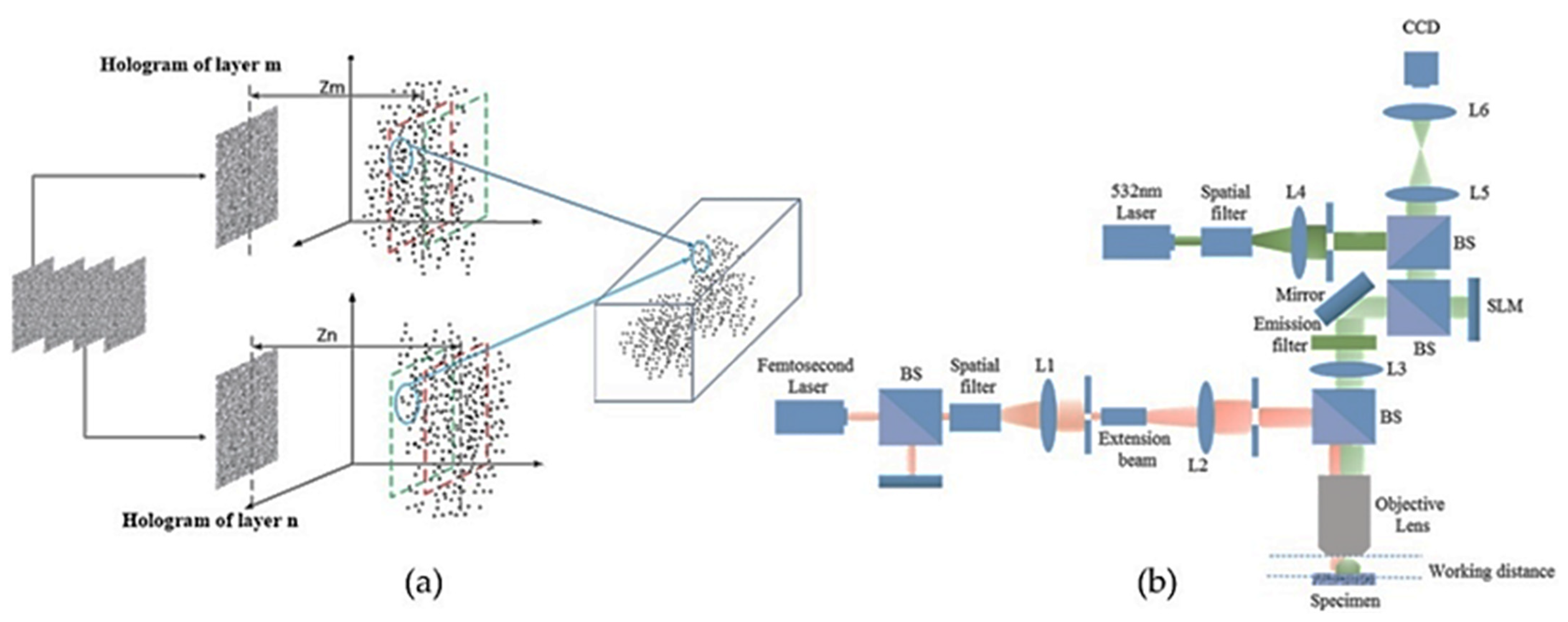 Jimaging 07 00197 g020