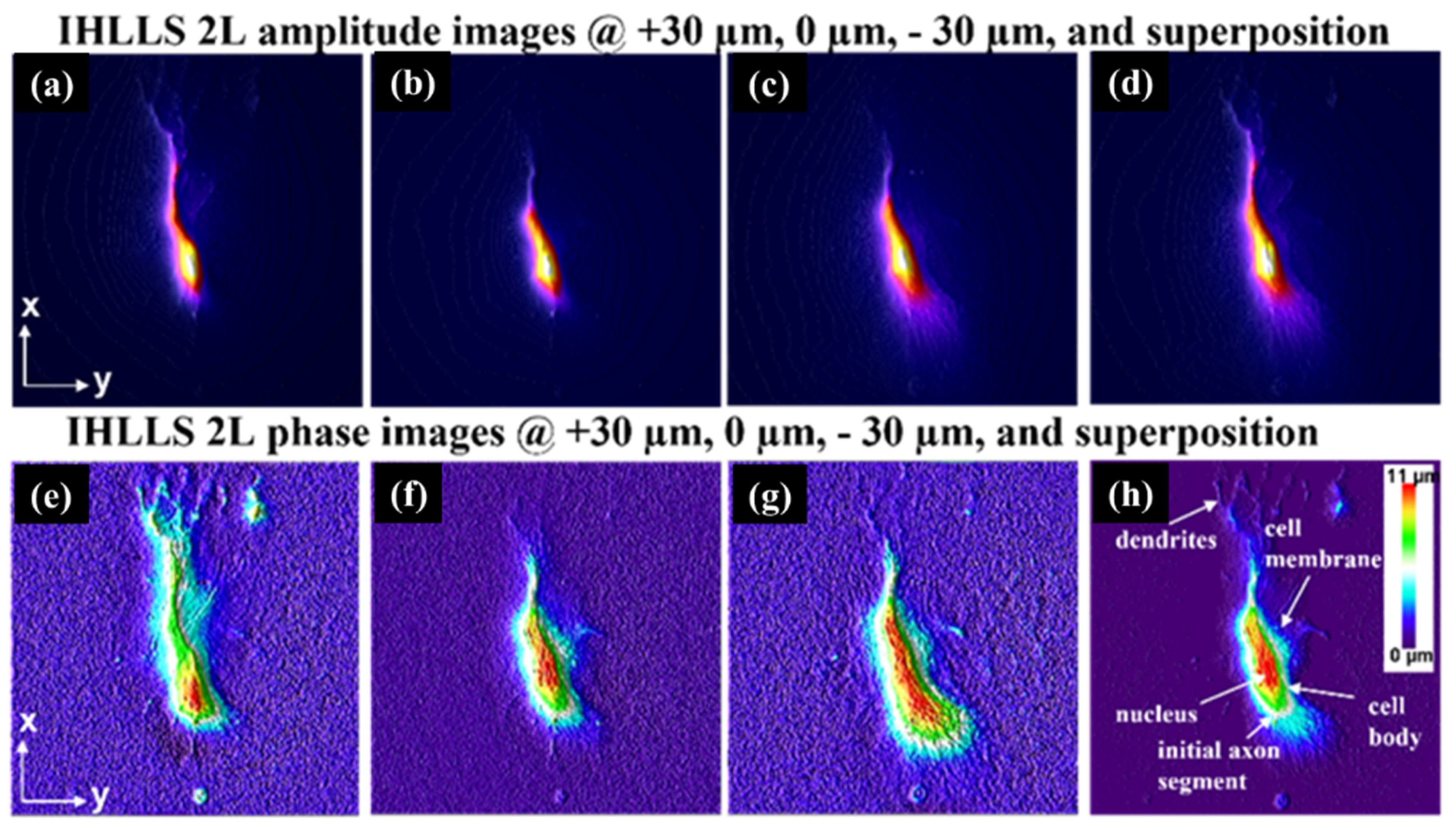 Jimaging 07 00197 g025