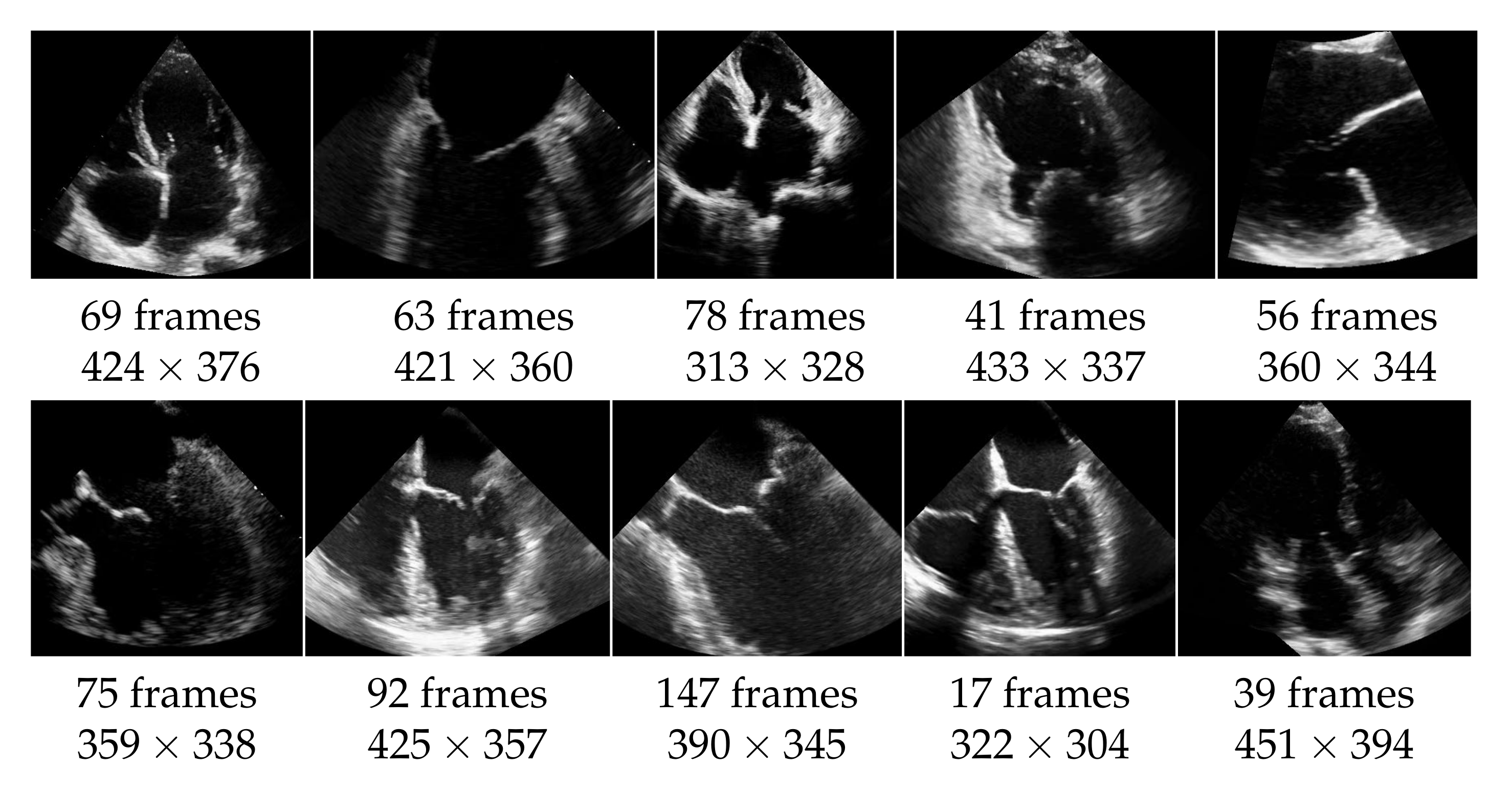 Jimaging 07 00213 g005 Jimaging 07 00213 g005