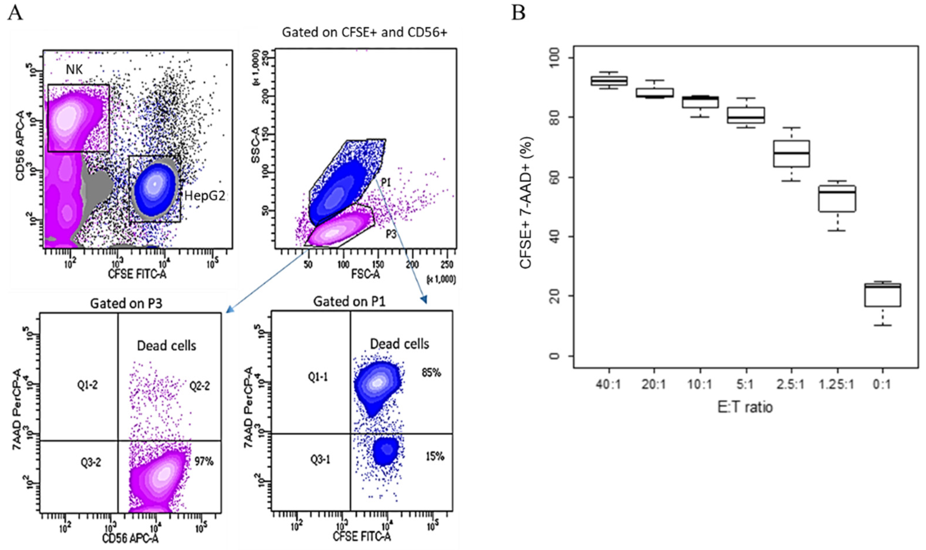Jimaging 07 00222 g002