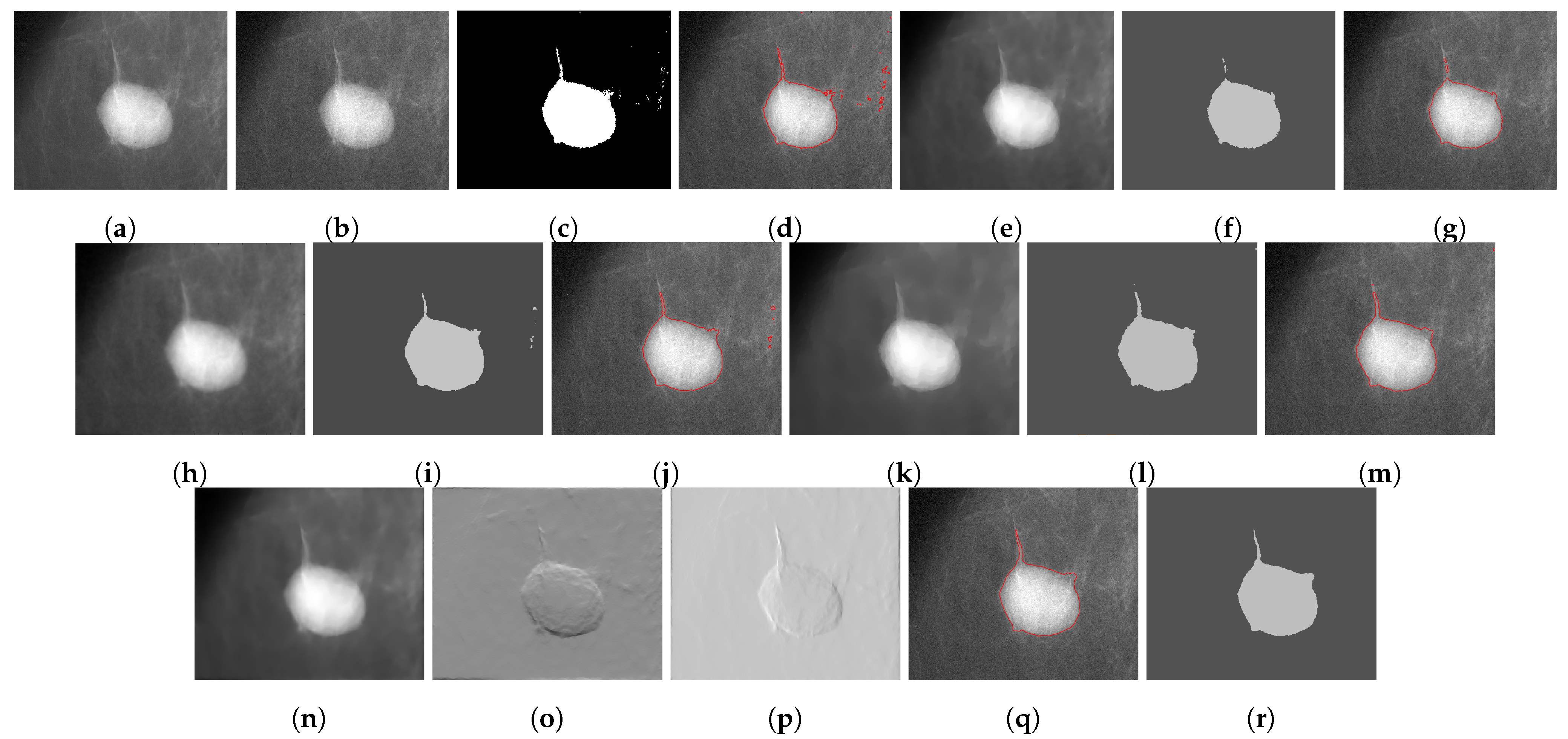 Jimaging 07 00228 g001