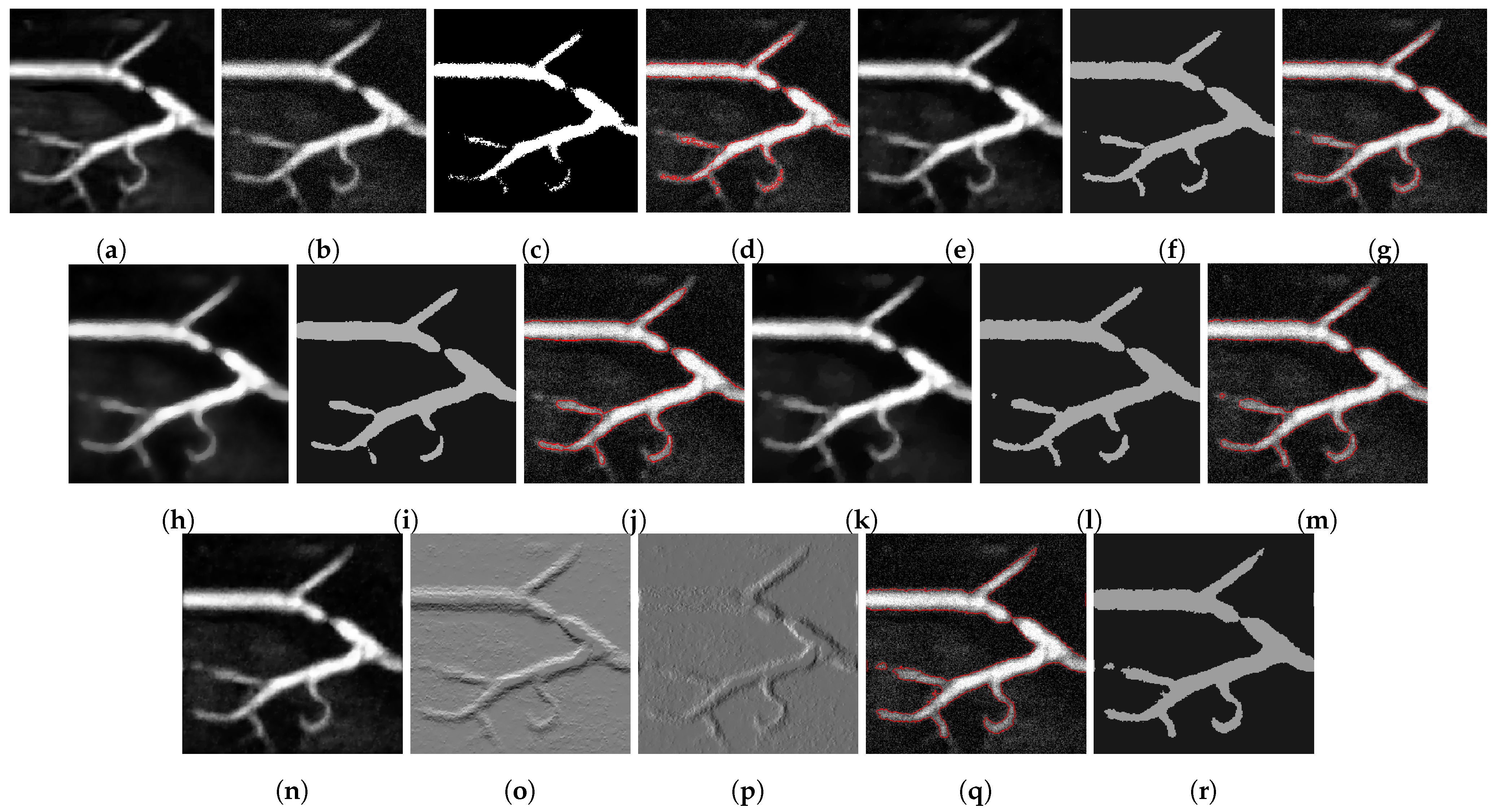 Jimaging 07 00228 g002